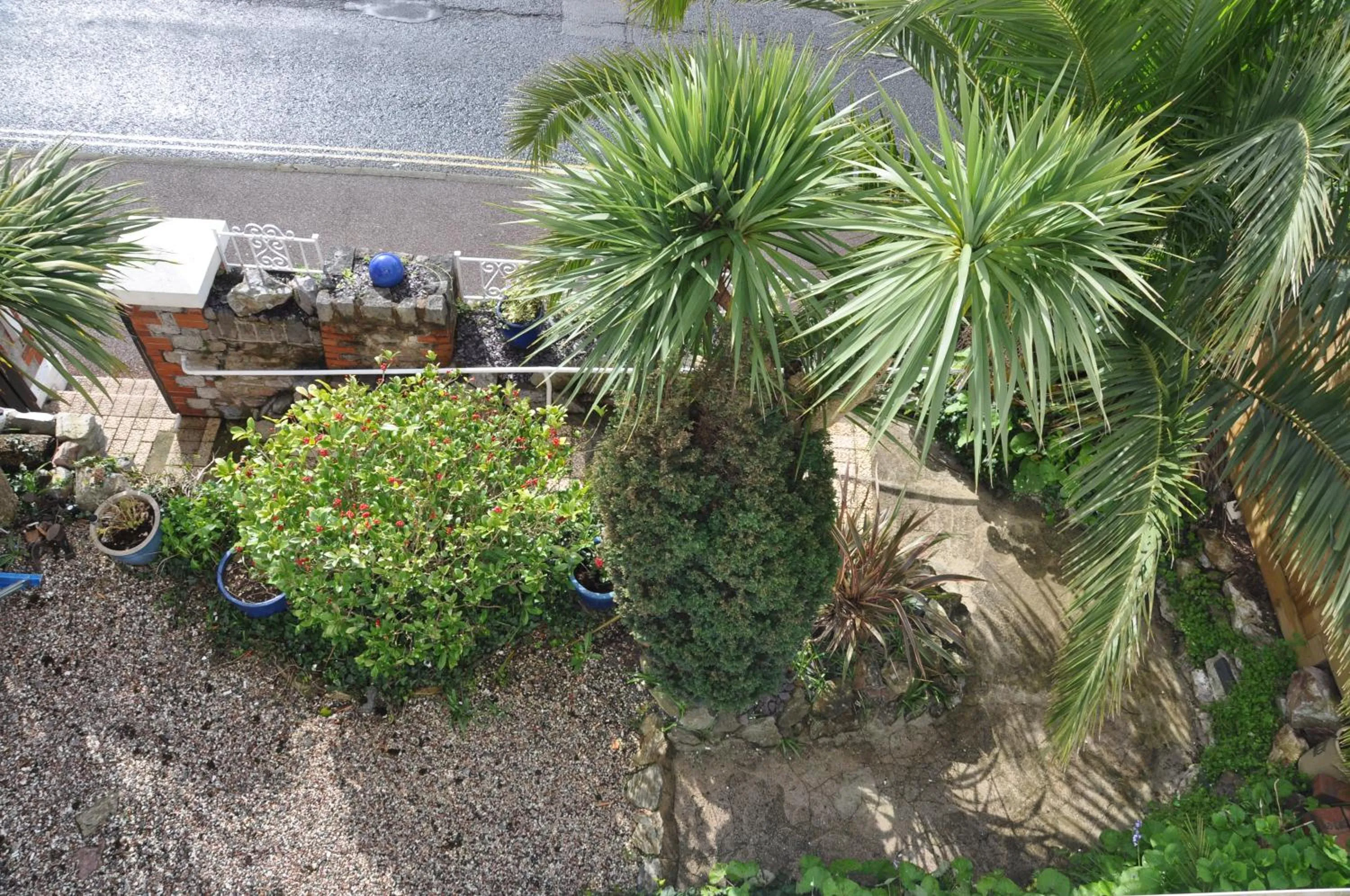 Garden in Hotel Peppers