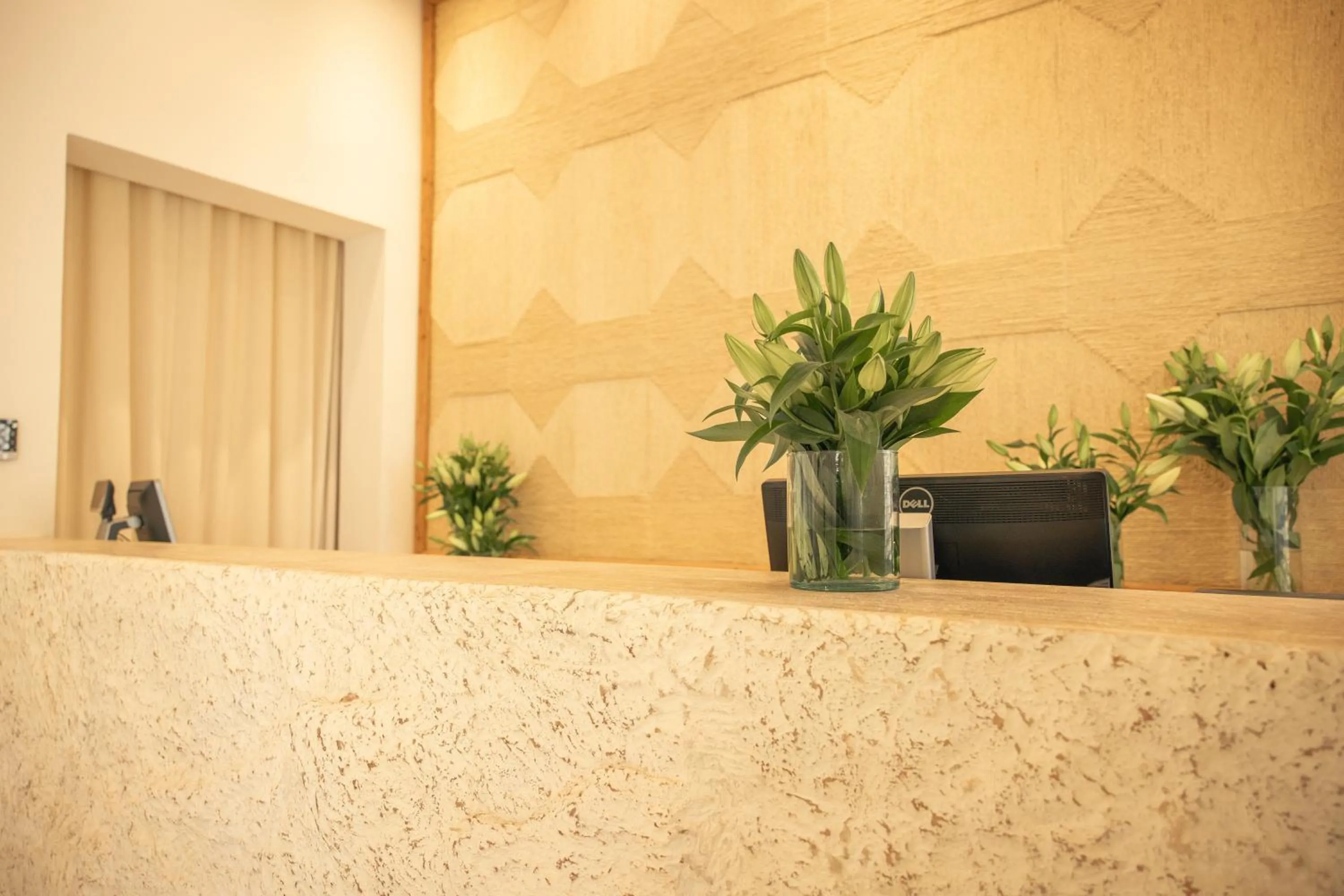 Lobby or reception in Les Palmiers Boutique Hôtel & Spa