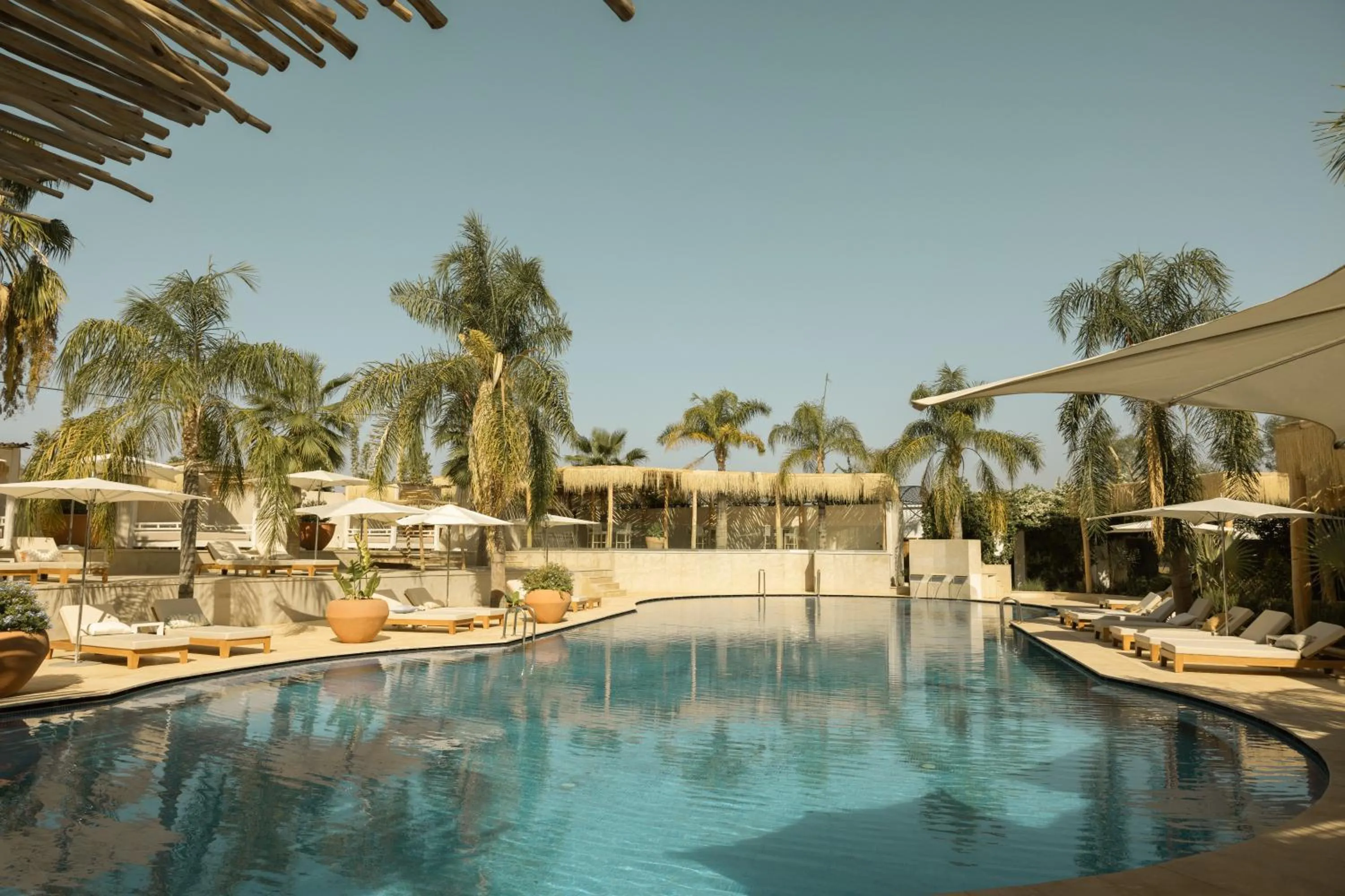 Swimming pool in Les Palmiers Boutique Hôtel & Spa