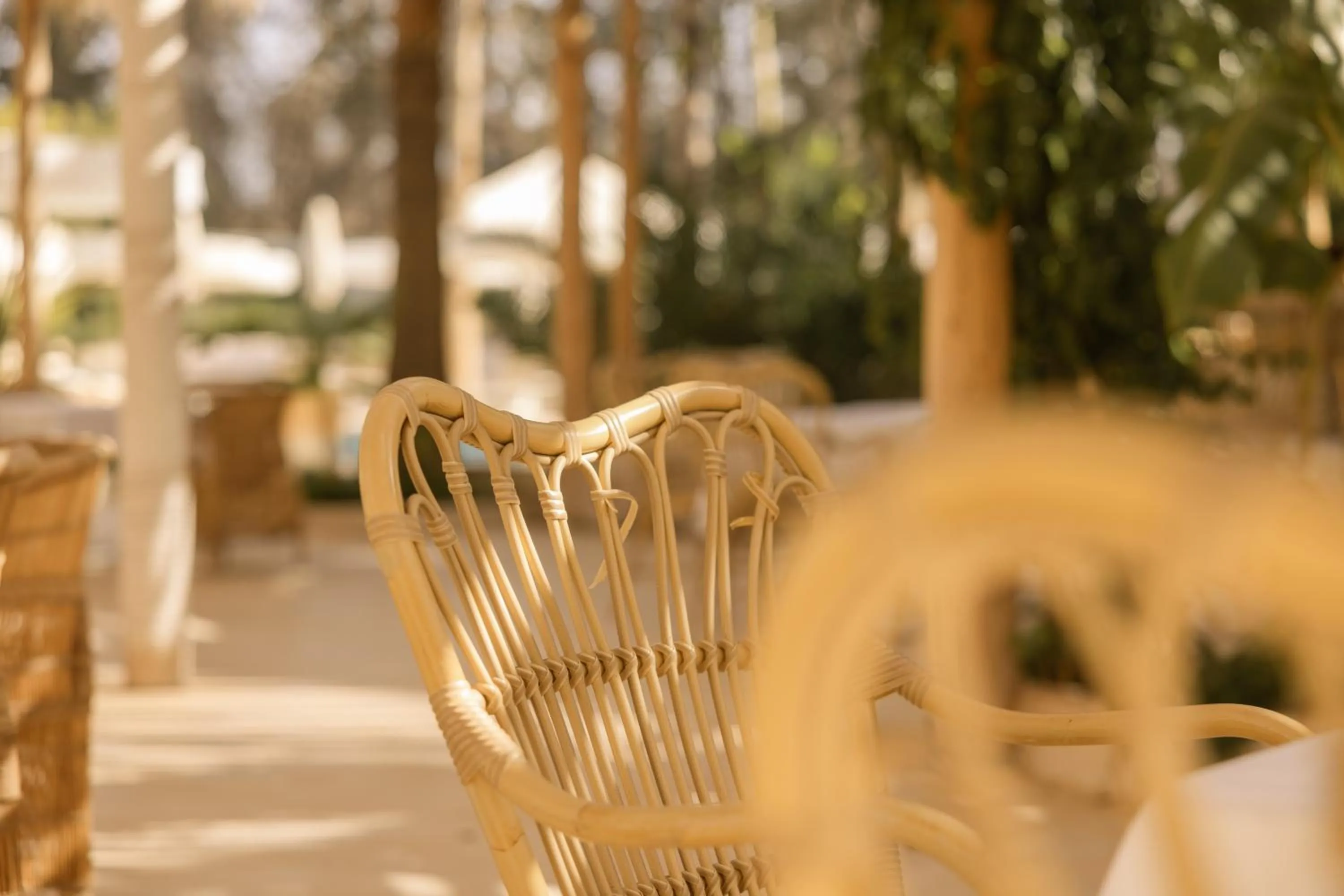 Restaurant/places to eat in Les Palmiers Boutique Hôtel & Spa