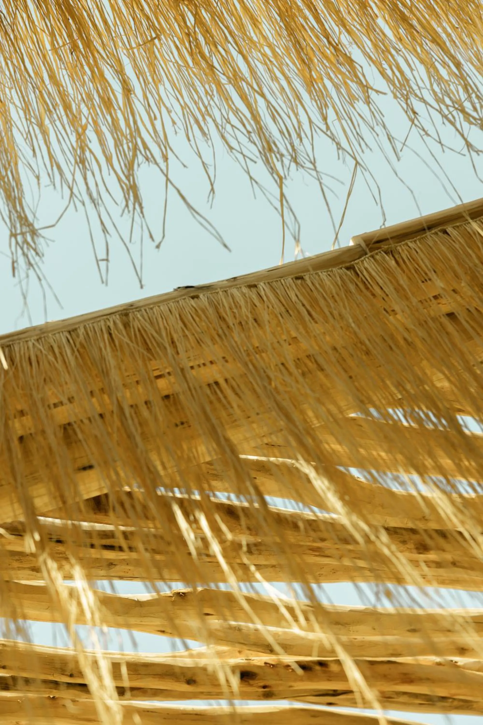 Restaurant/places to eat in Les Palmiers Boutique Hôtel & Spa