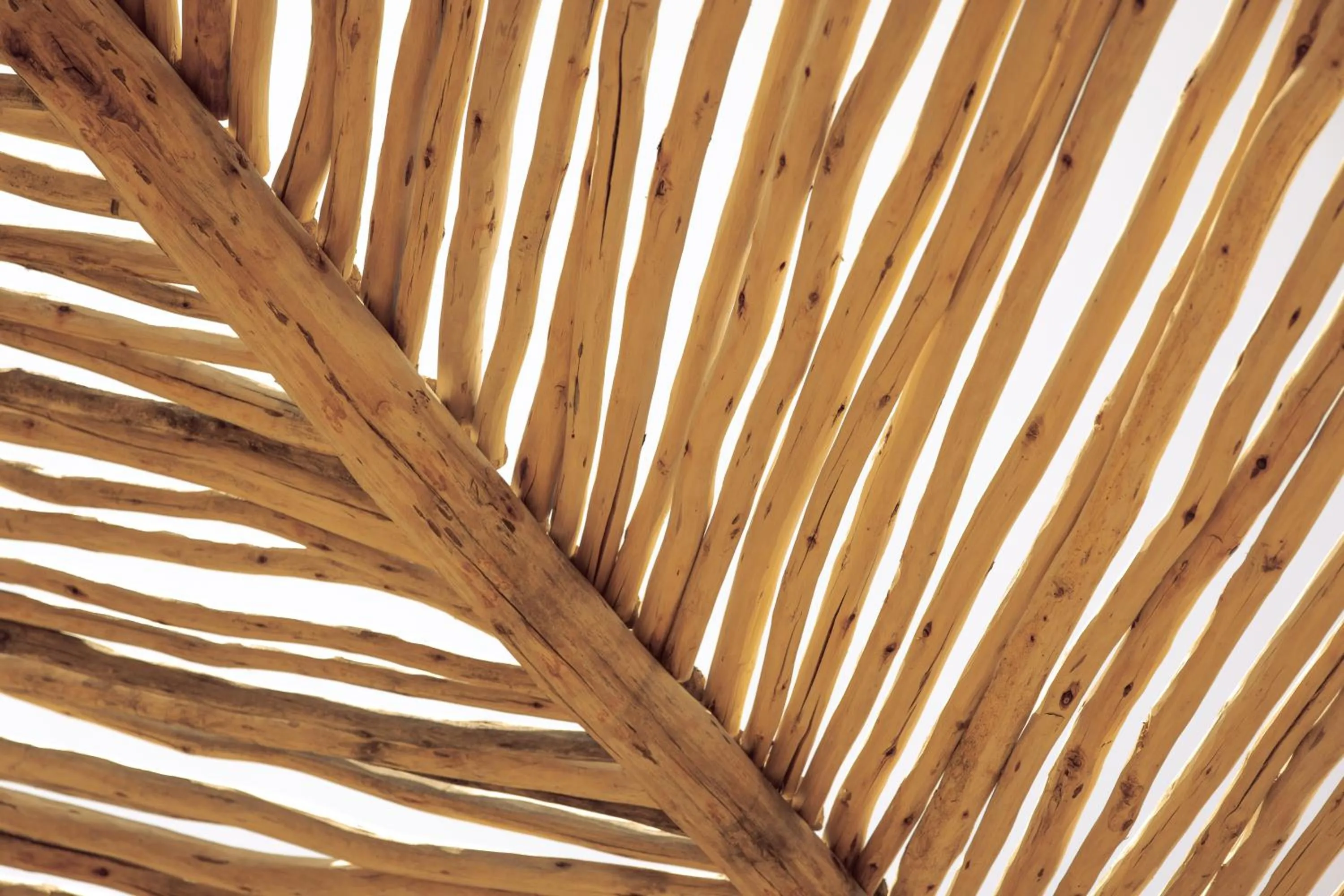 Restaurant/places to eat in Les Palmiers Boutique Hôtel & Spa