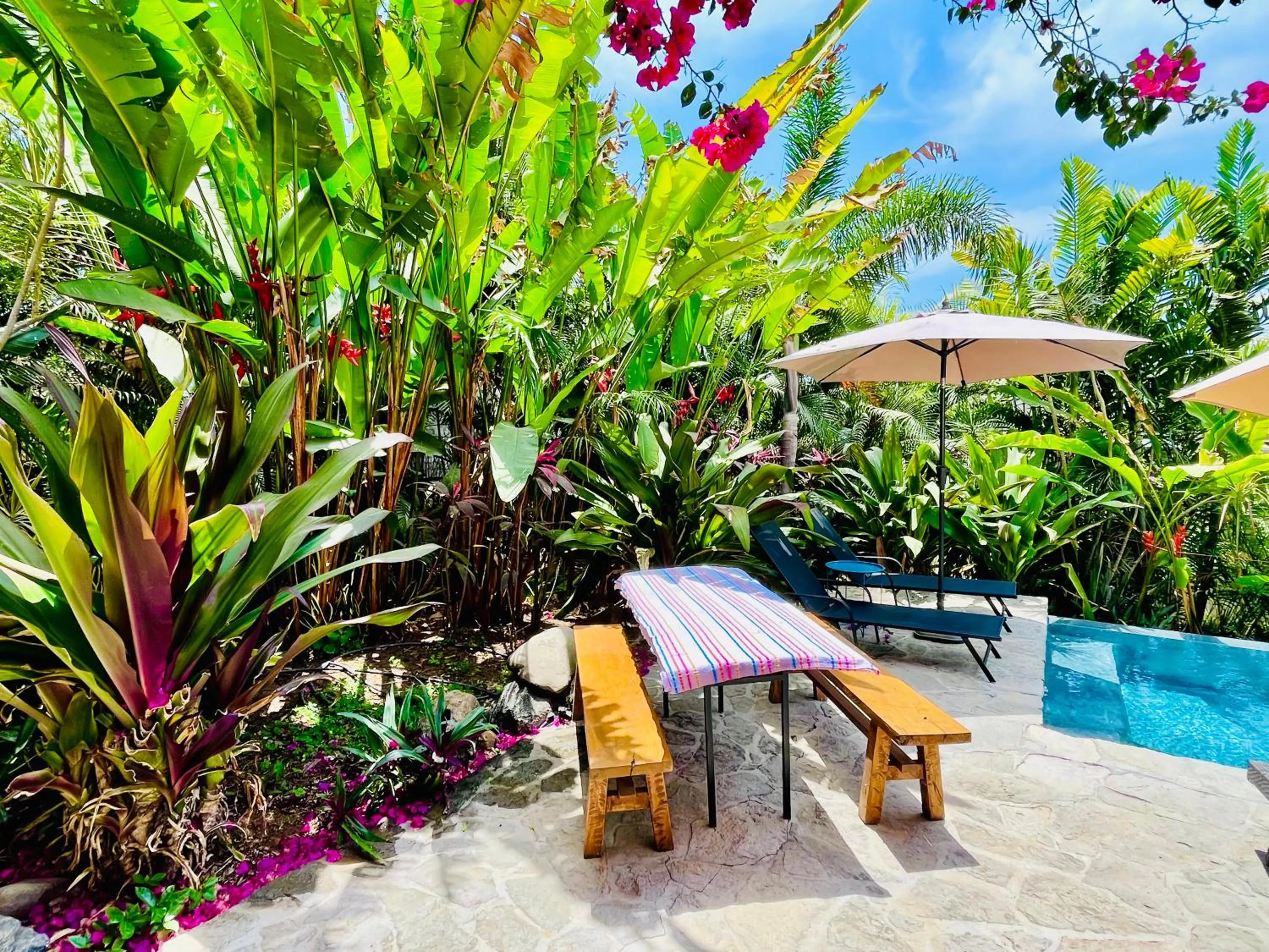 King bed, Kitchenette, Air Conditioning, Pool, Fast WiFi - Aire at Casa Calavera
