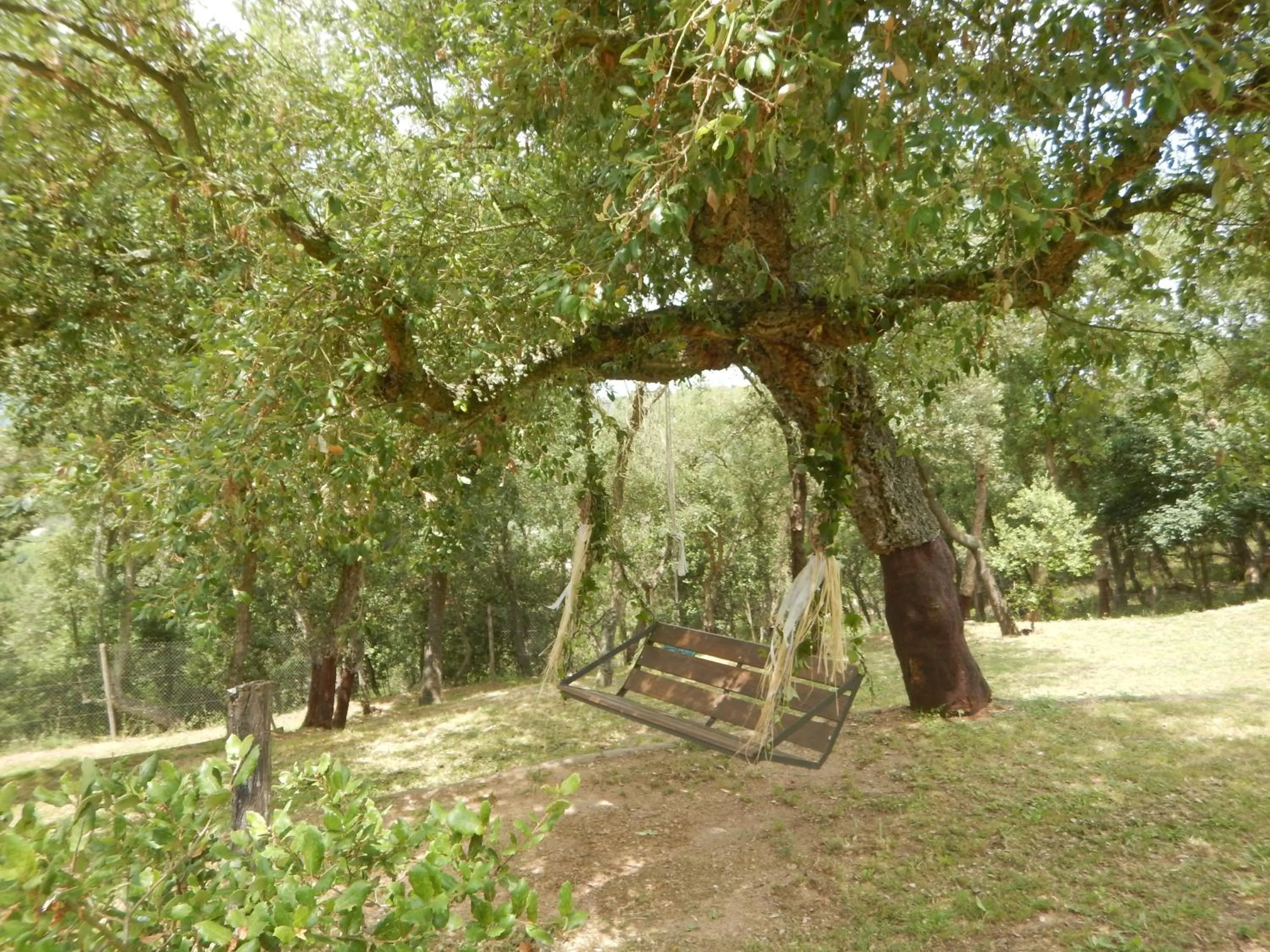 Garden in Can Pobric