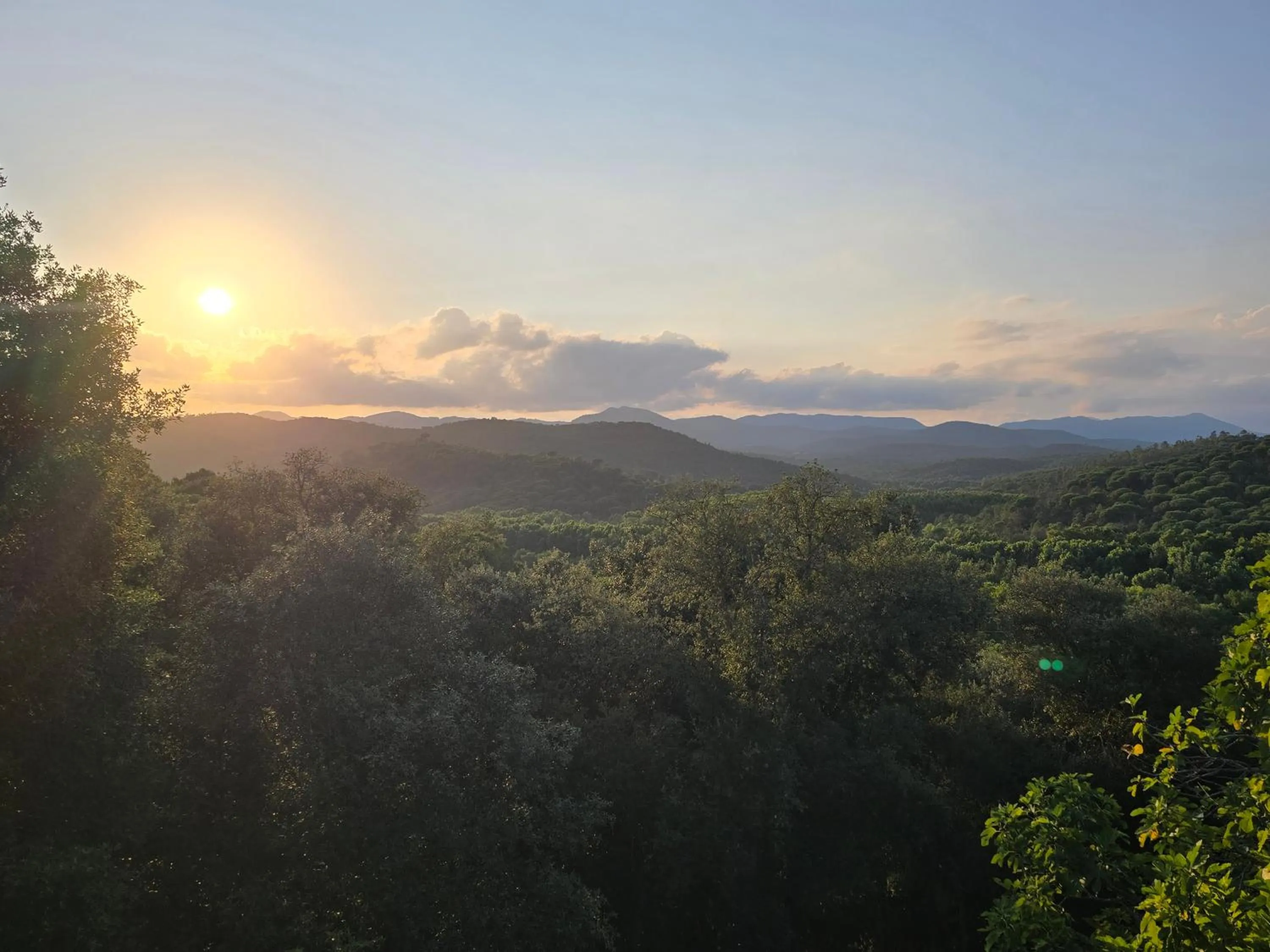 Property building in Can Pobric