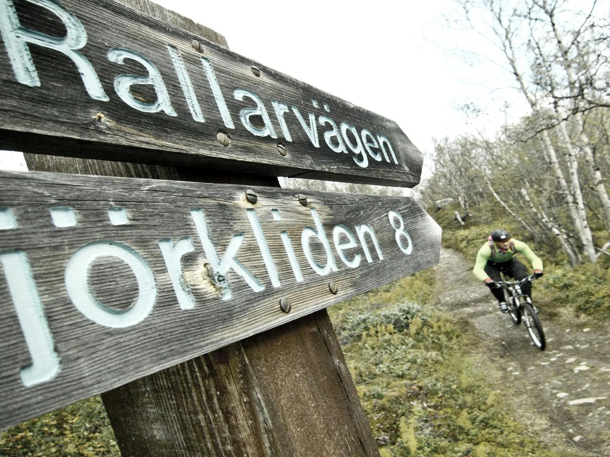 Cycling in Hotell Fjället