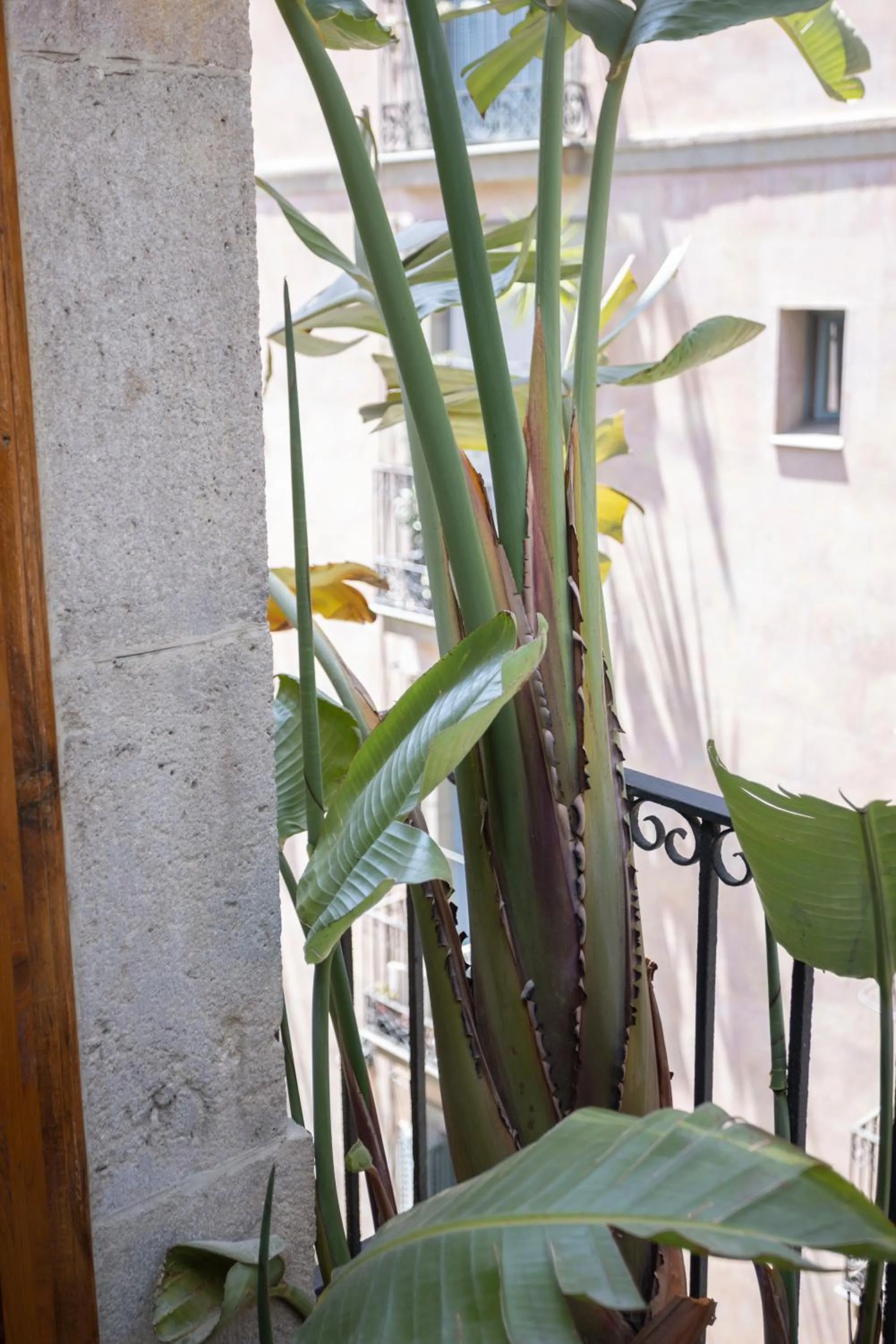View (from property/room) in Hostal Sol y K