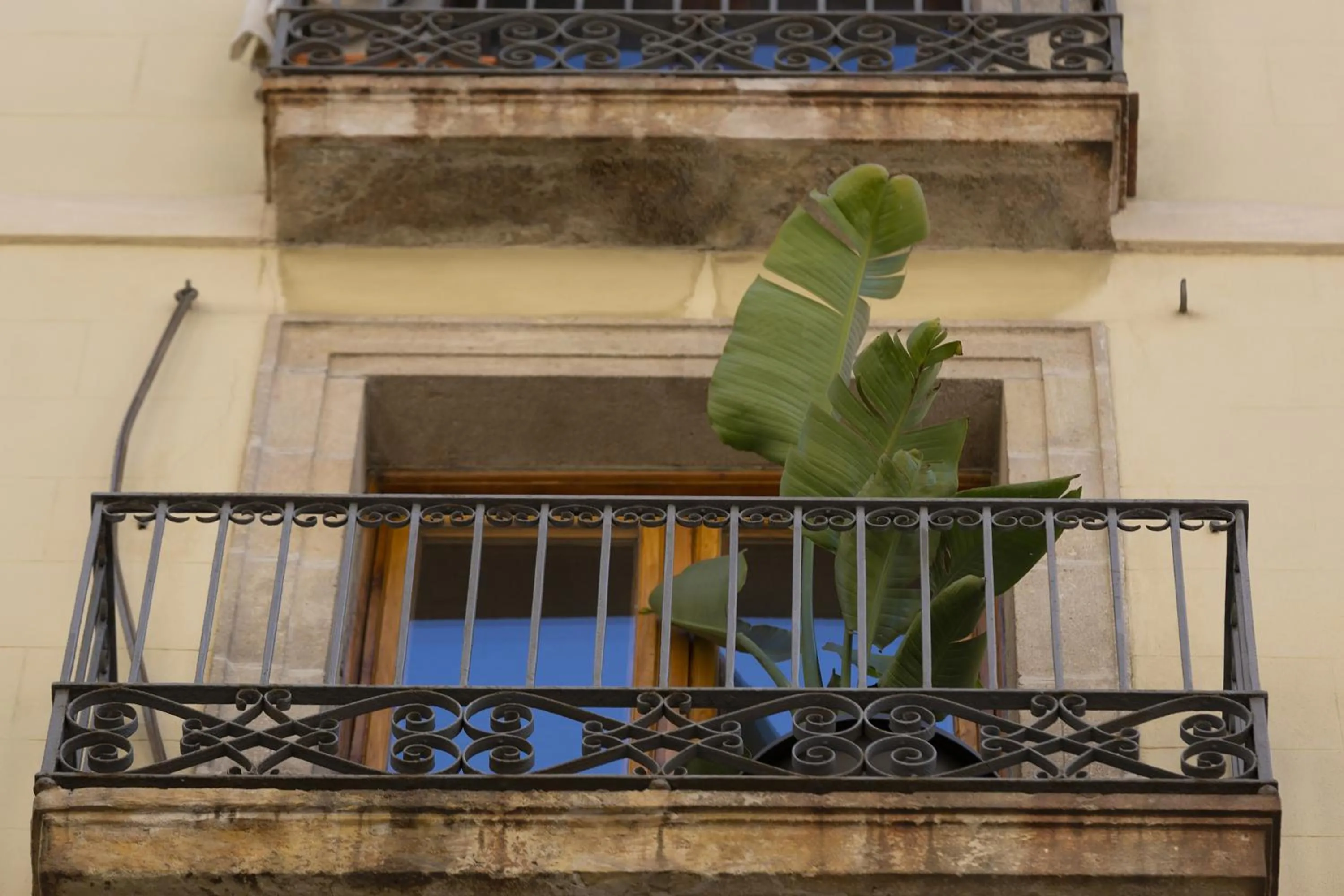 Facade/entrance in Hostal Sol y K