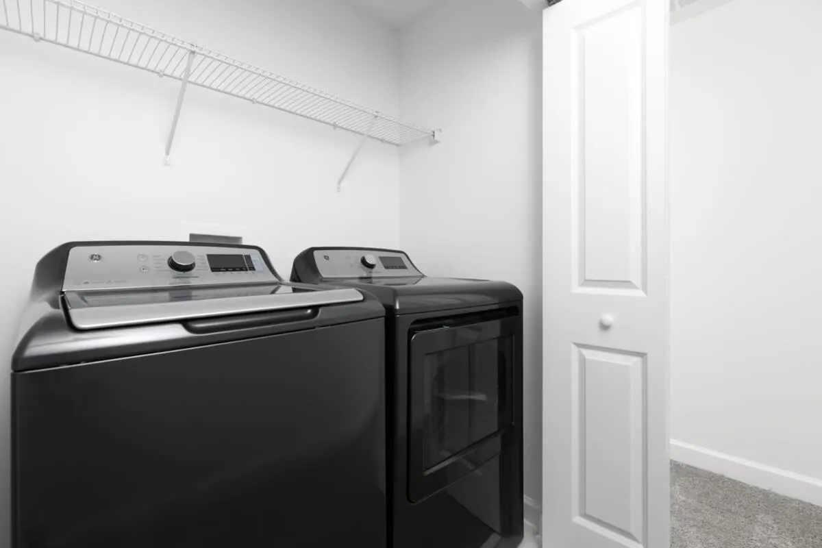 Chic Modern Home- Mickey & Star Wars Magic