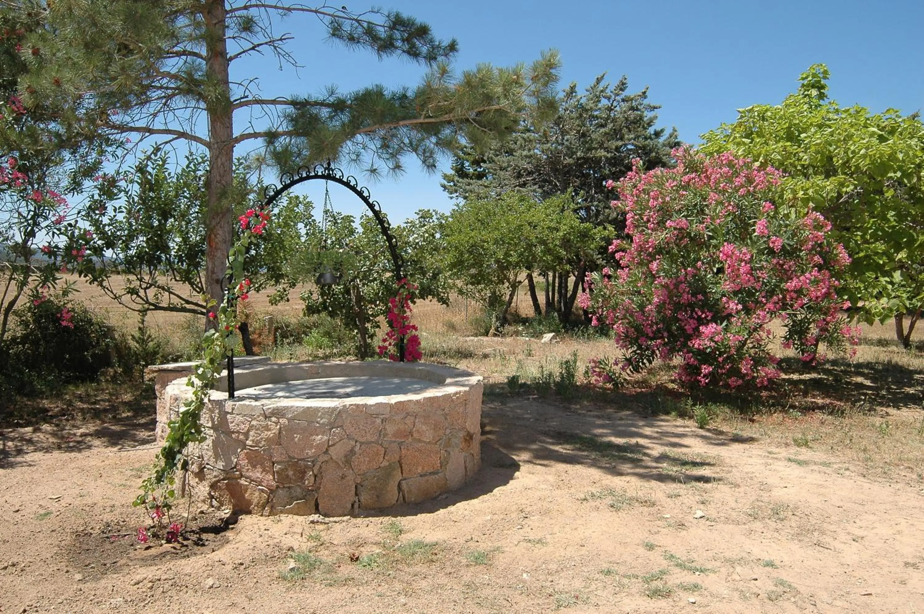 Hotel Mediterraneo