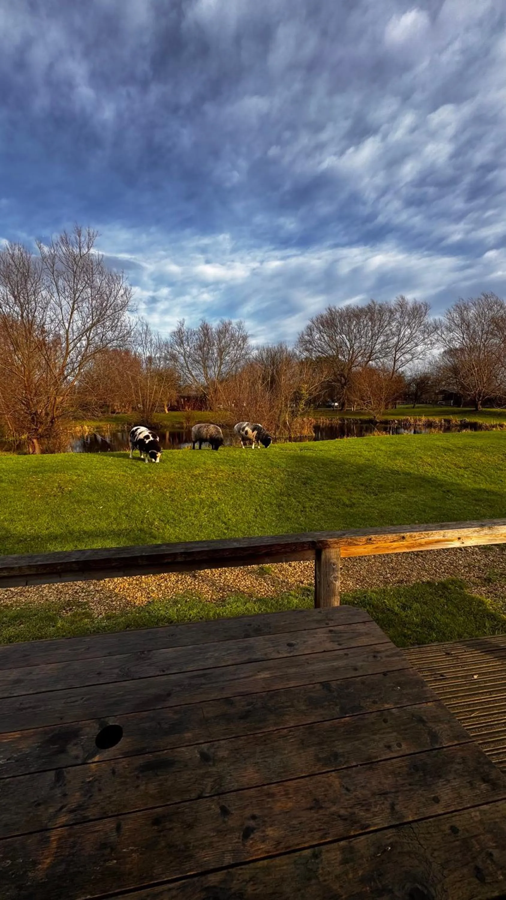 View (from property/room) in Wall Eden Farm - Luxury Log Cabins and Glamping