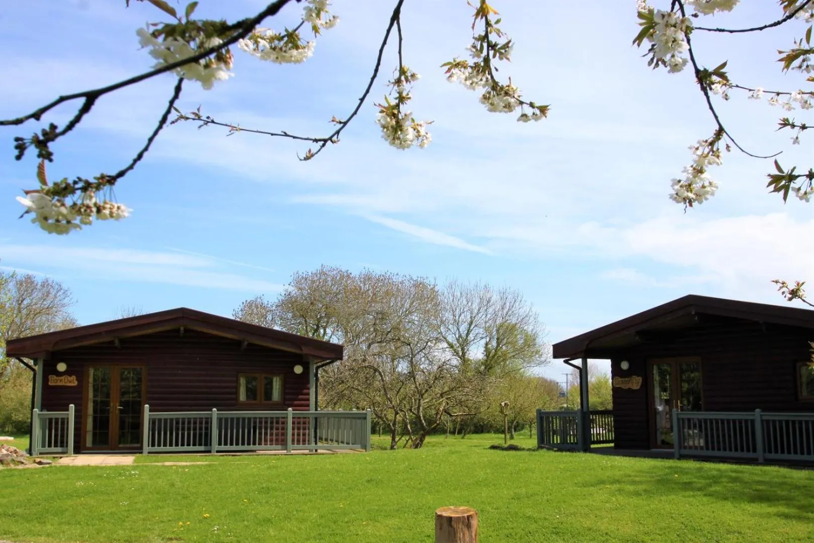 Natural landscape in Wall Eden Farm - Luxury Log Cabins and Glamping
