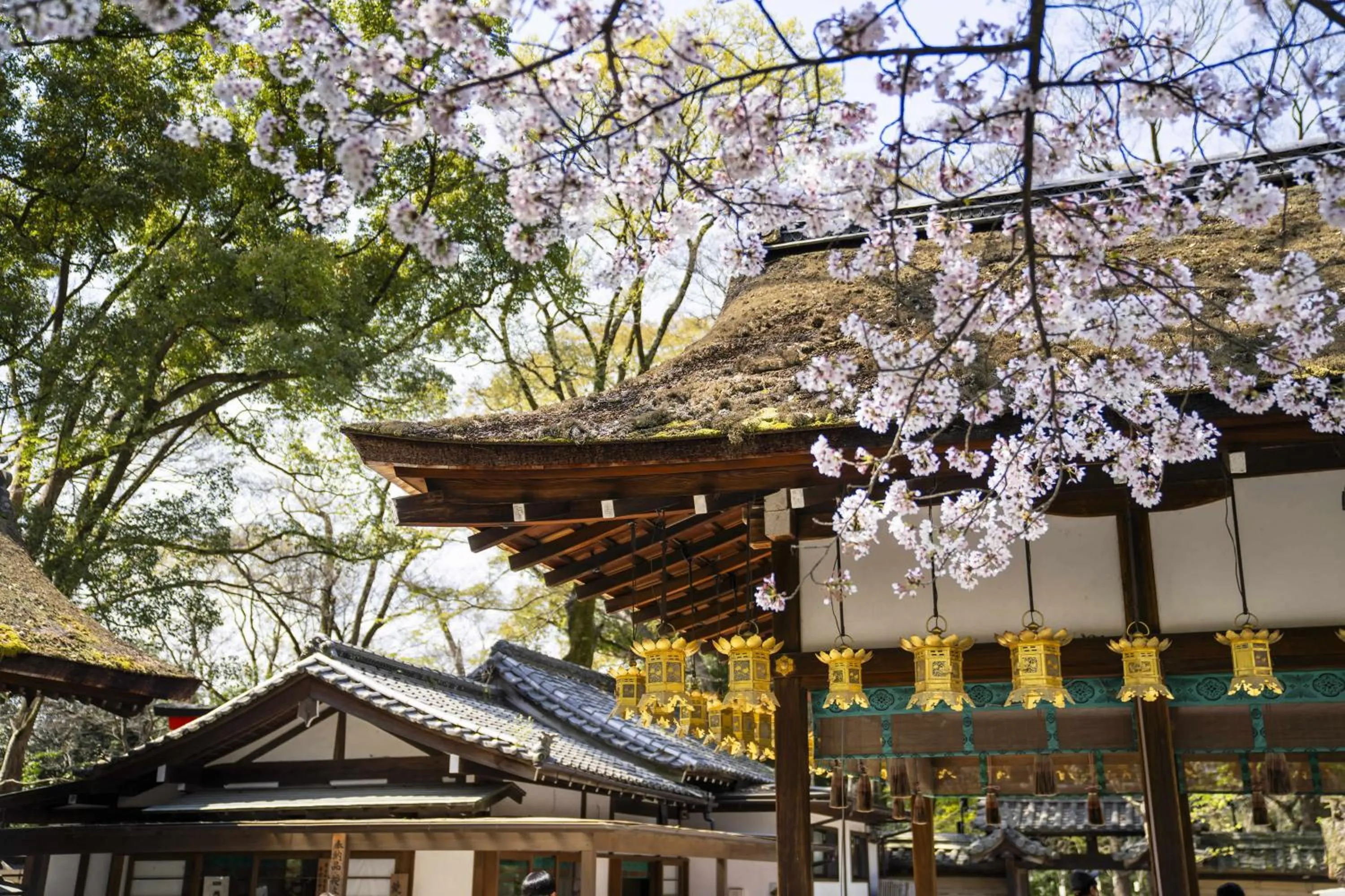 Nearby landmark in Kamo Residences by Reflections