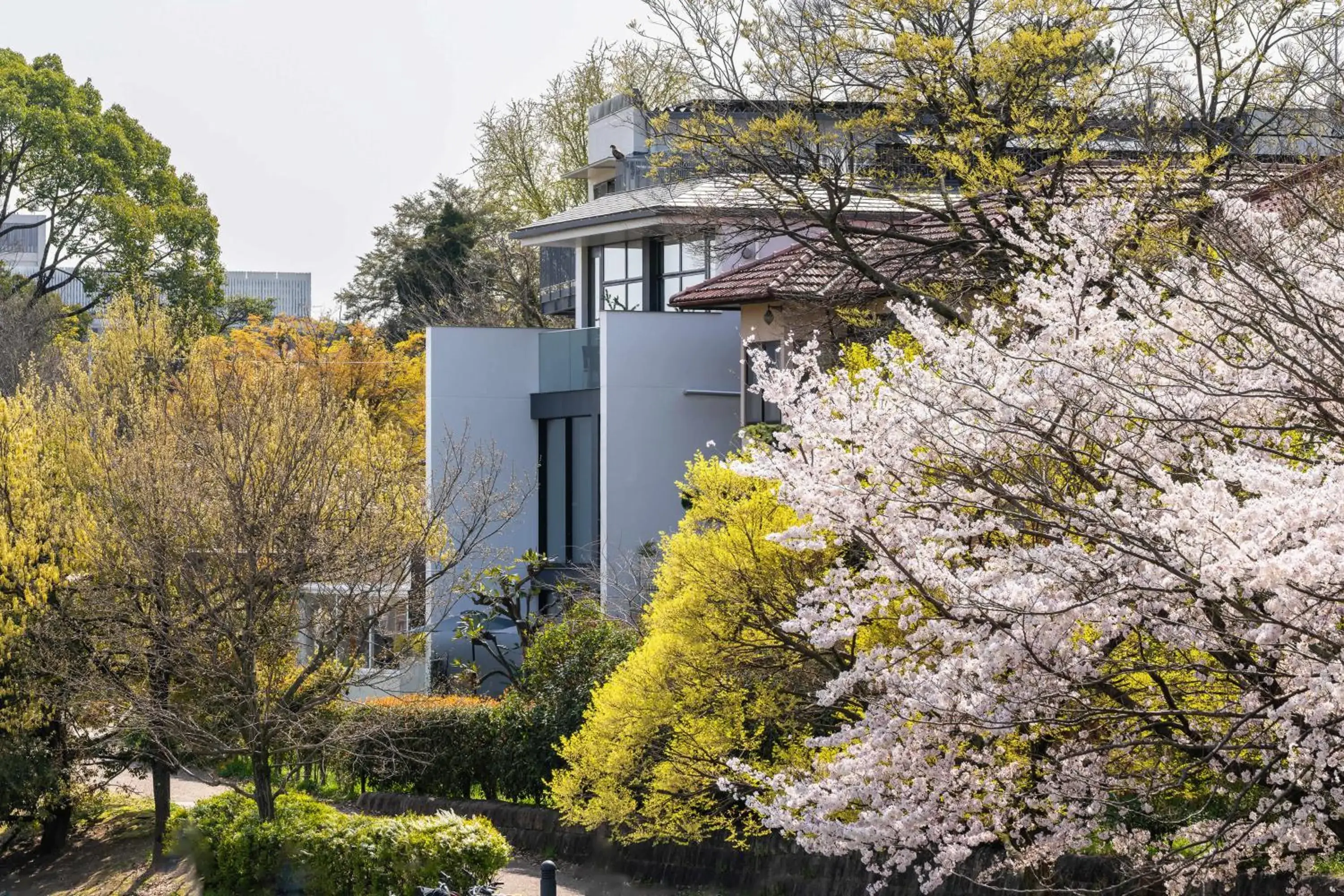 Property building in Kamo Residences by Reflections Property building in Kamo Residences by Reflections