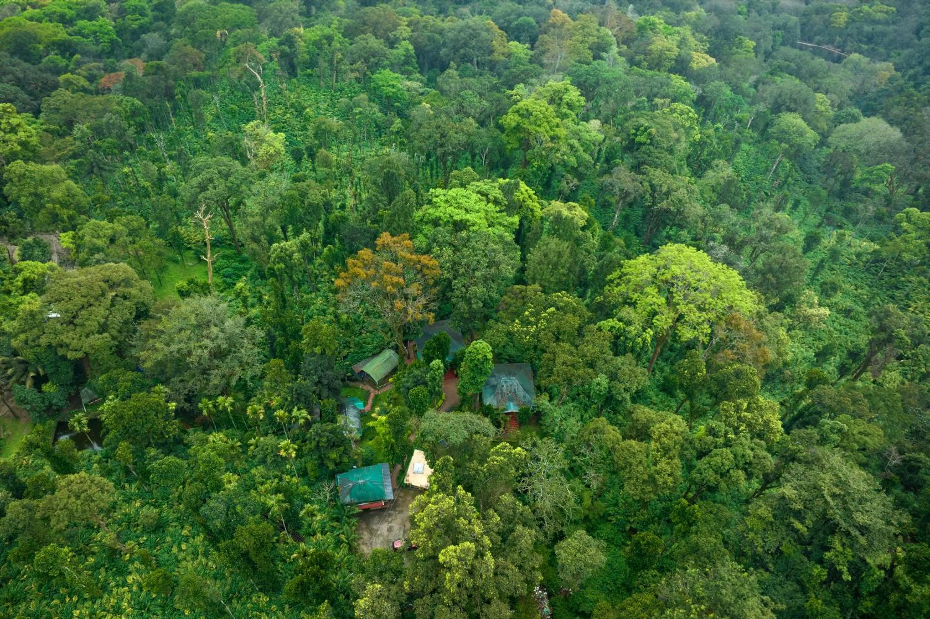 Spring in Blue Bells Resort By Maat Hotels