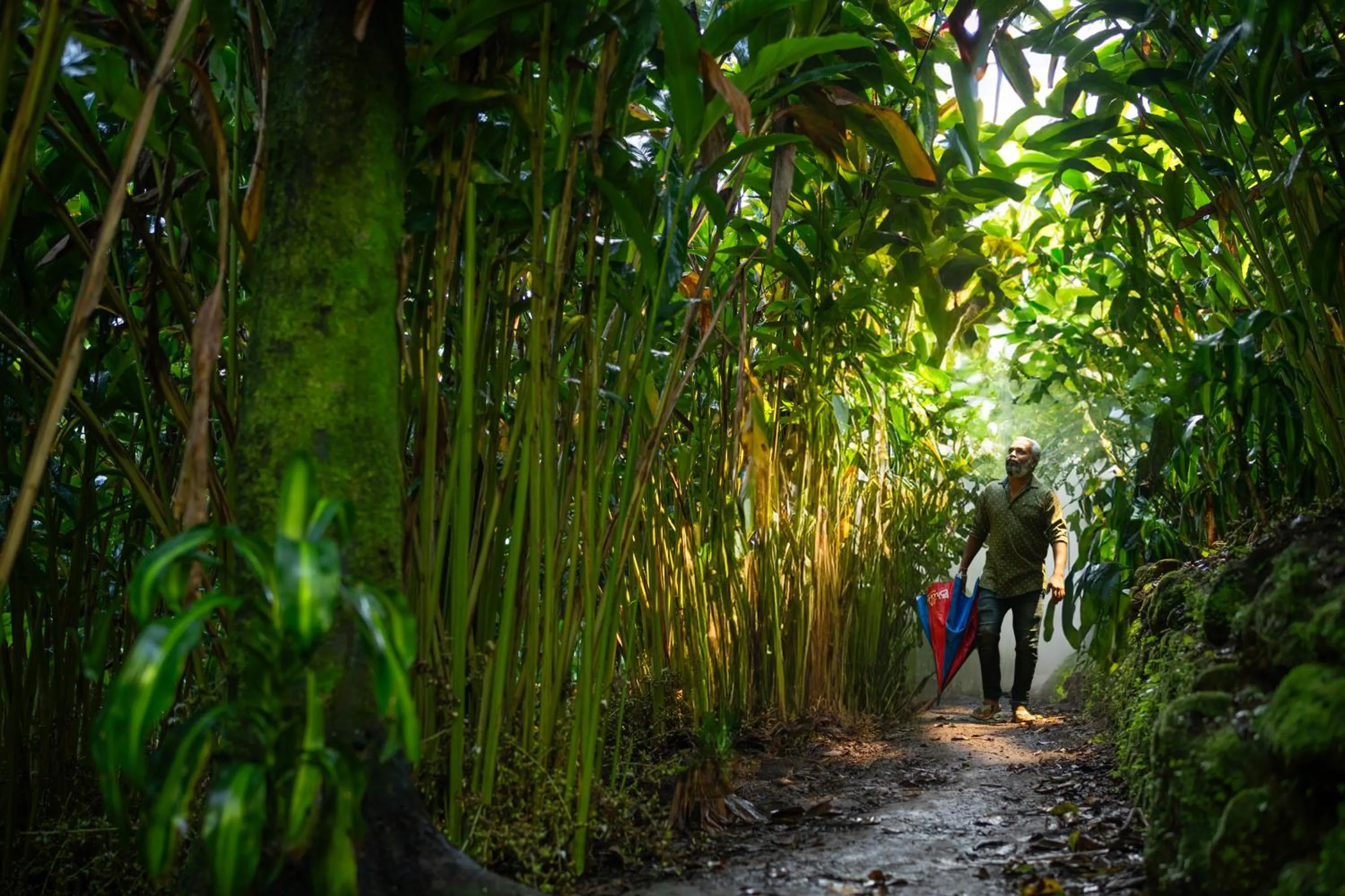 Spring in Blue Bells Resort By Maat Hotels