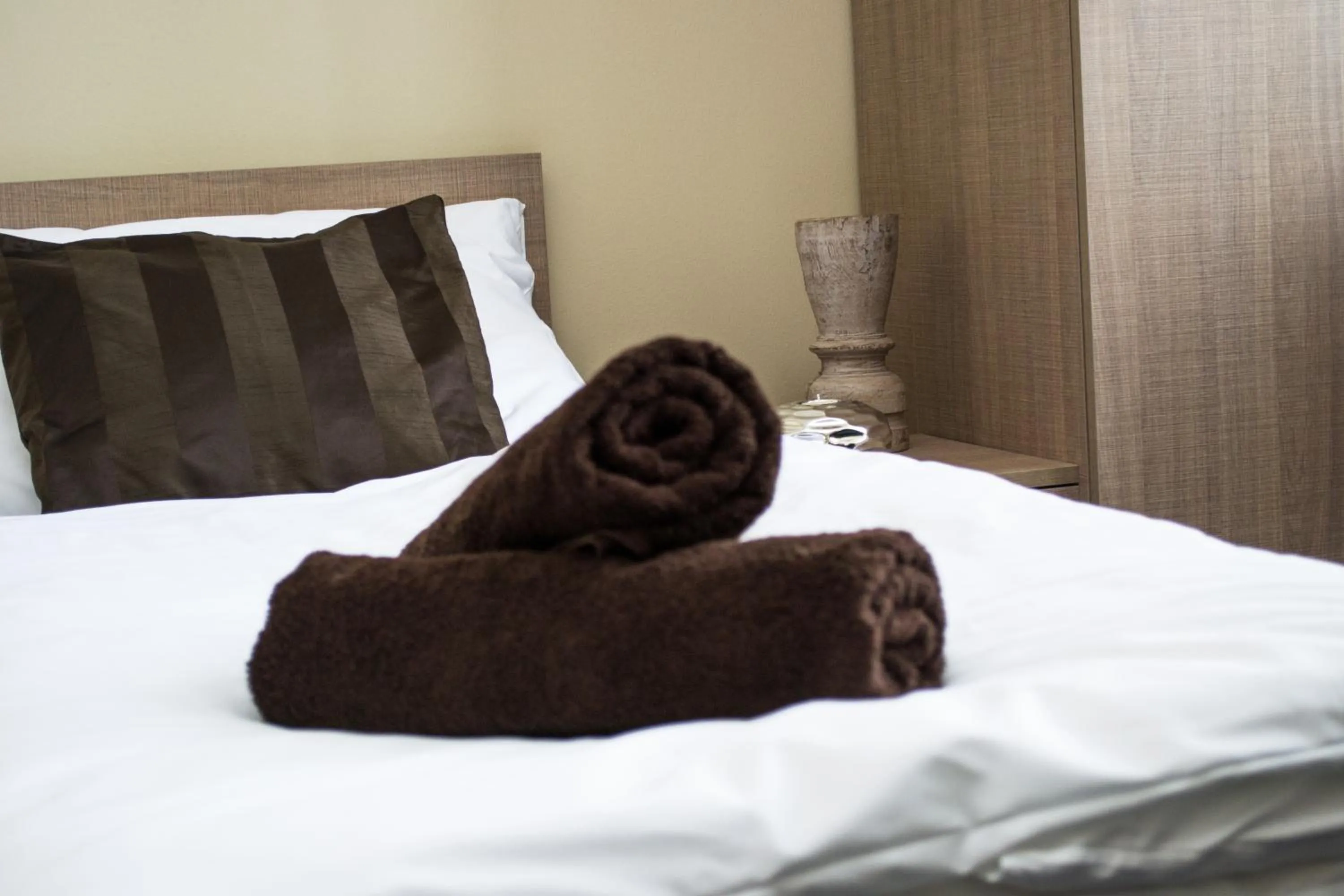 Double Room - Disability Access in Penzion s wellness Uherské Hradiště