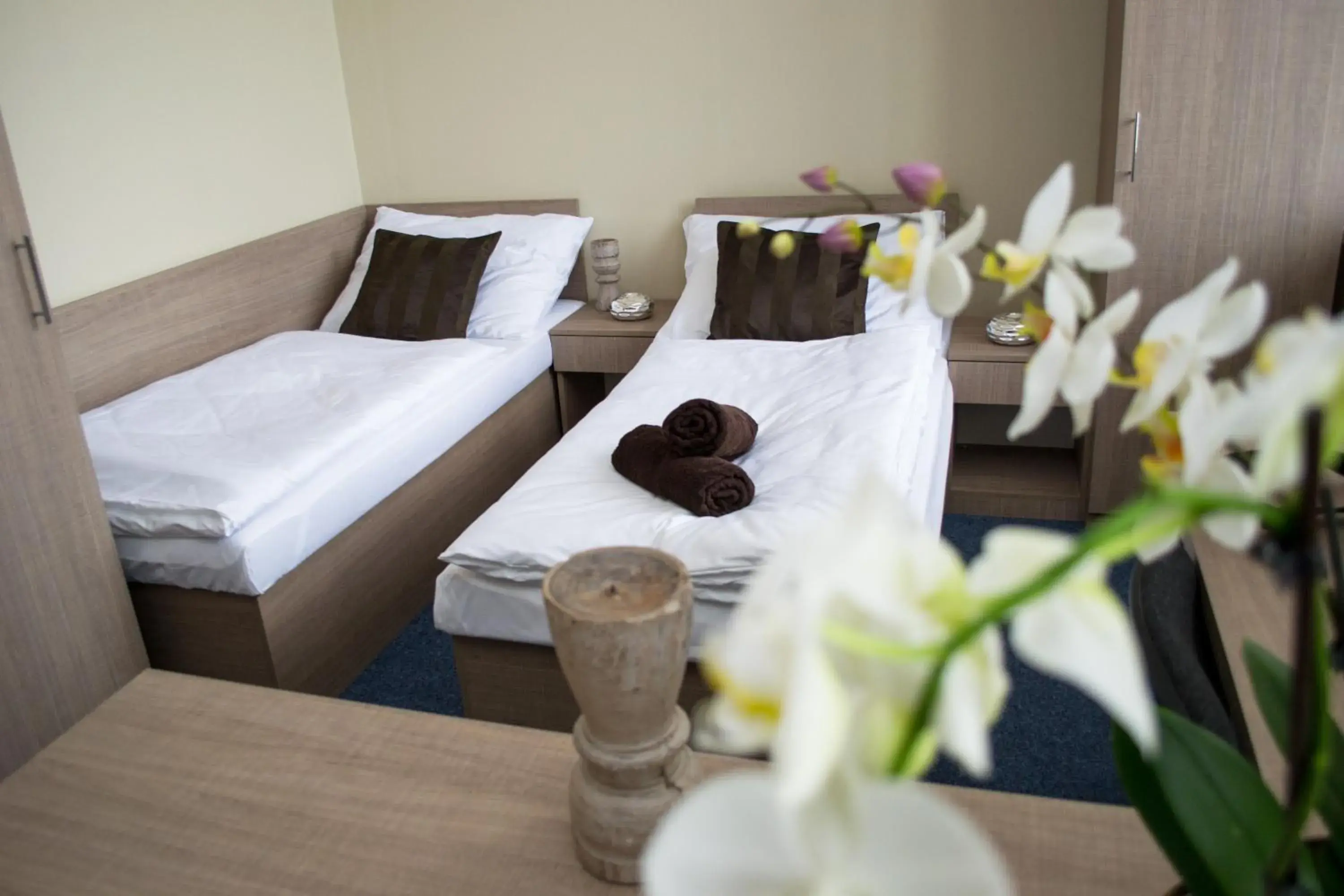 Triple Room with Shared Bathroom in Penzion s wellness Uherské Hradiště Triple Room with Shared Bathroom in Penzion s wellness Uherské Hradiště