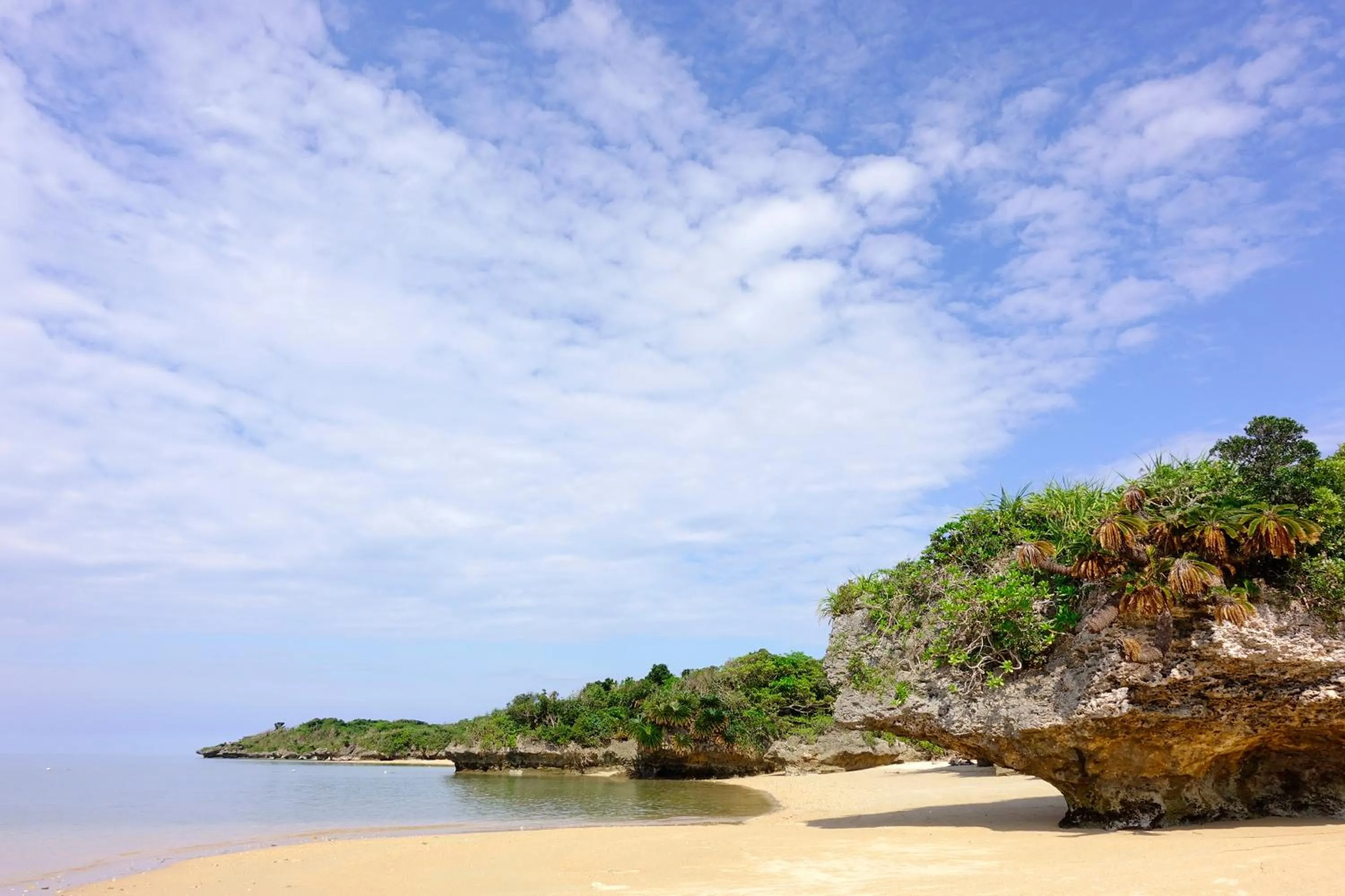 Snorkeling in Tsundara Beach Retreat