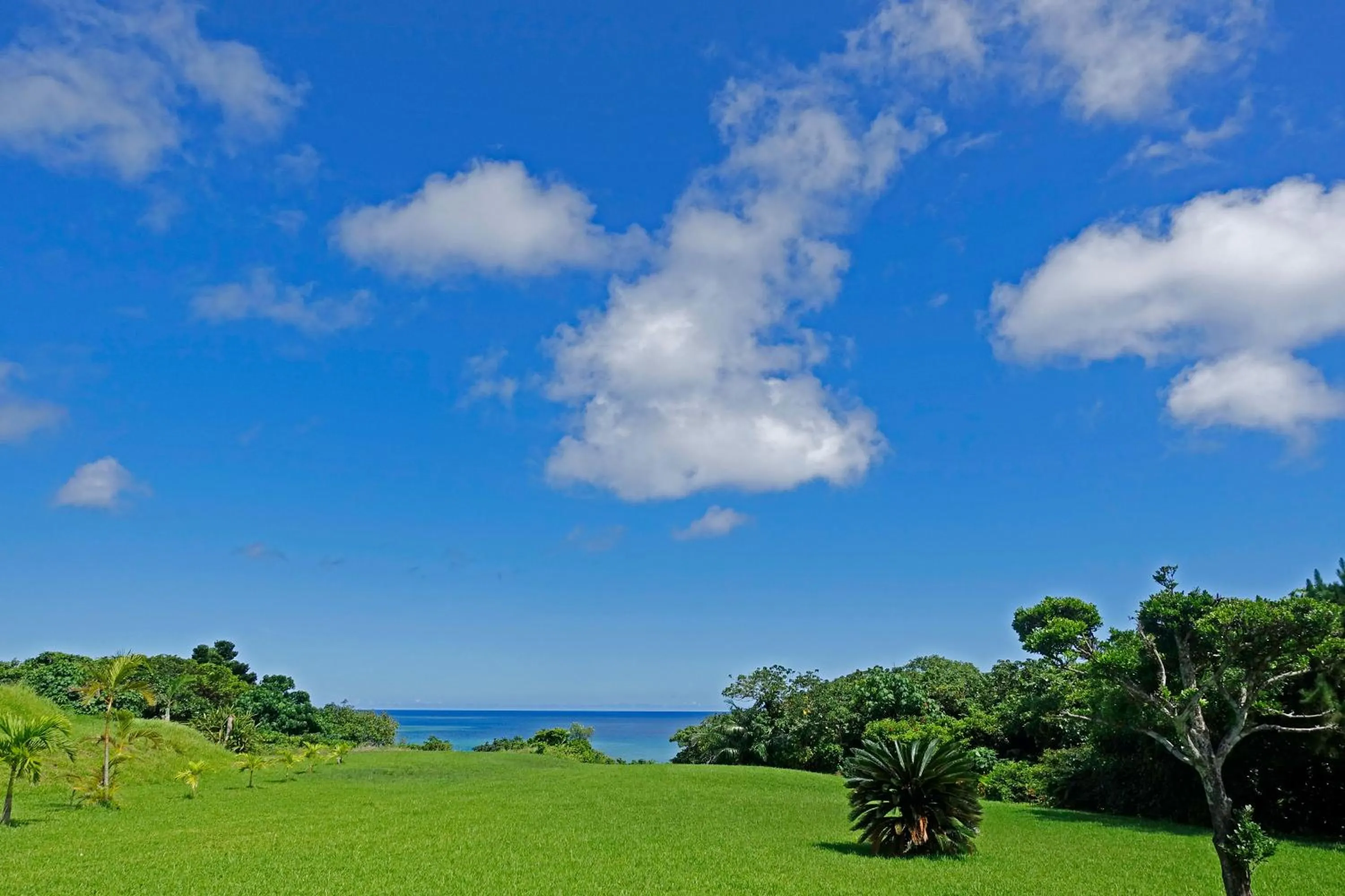 Garden in Tsundara Beach Retreat