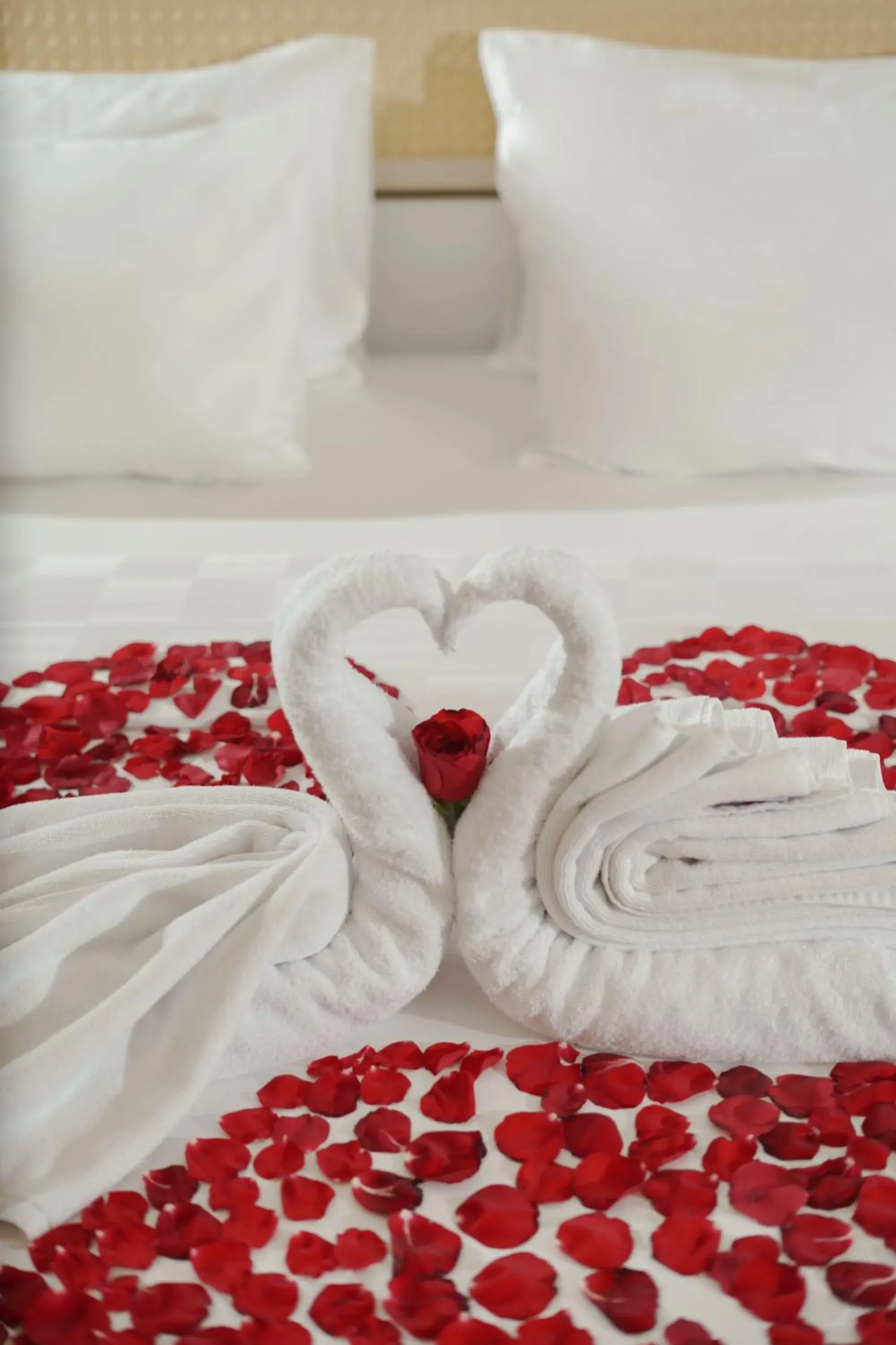 Swiss-Belcourt Lombok Swiss-Belcourt Lombok