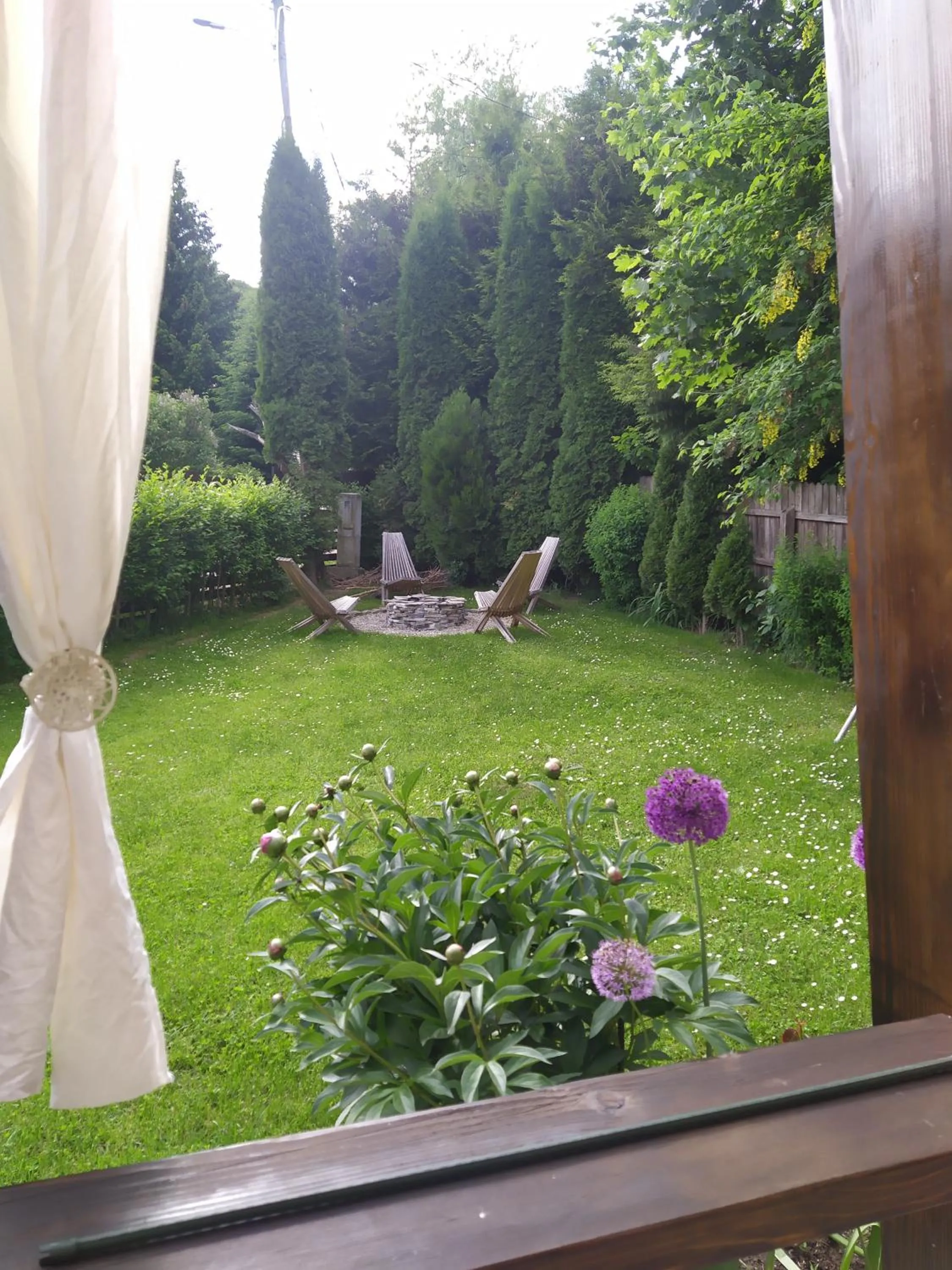 Garden in Casa Traian