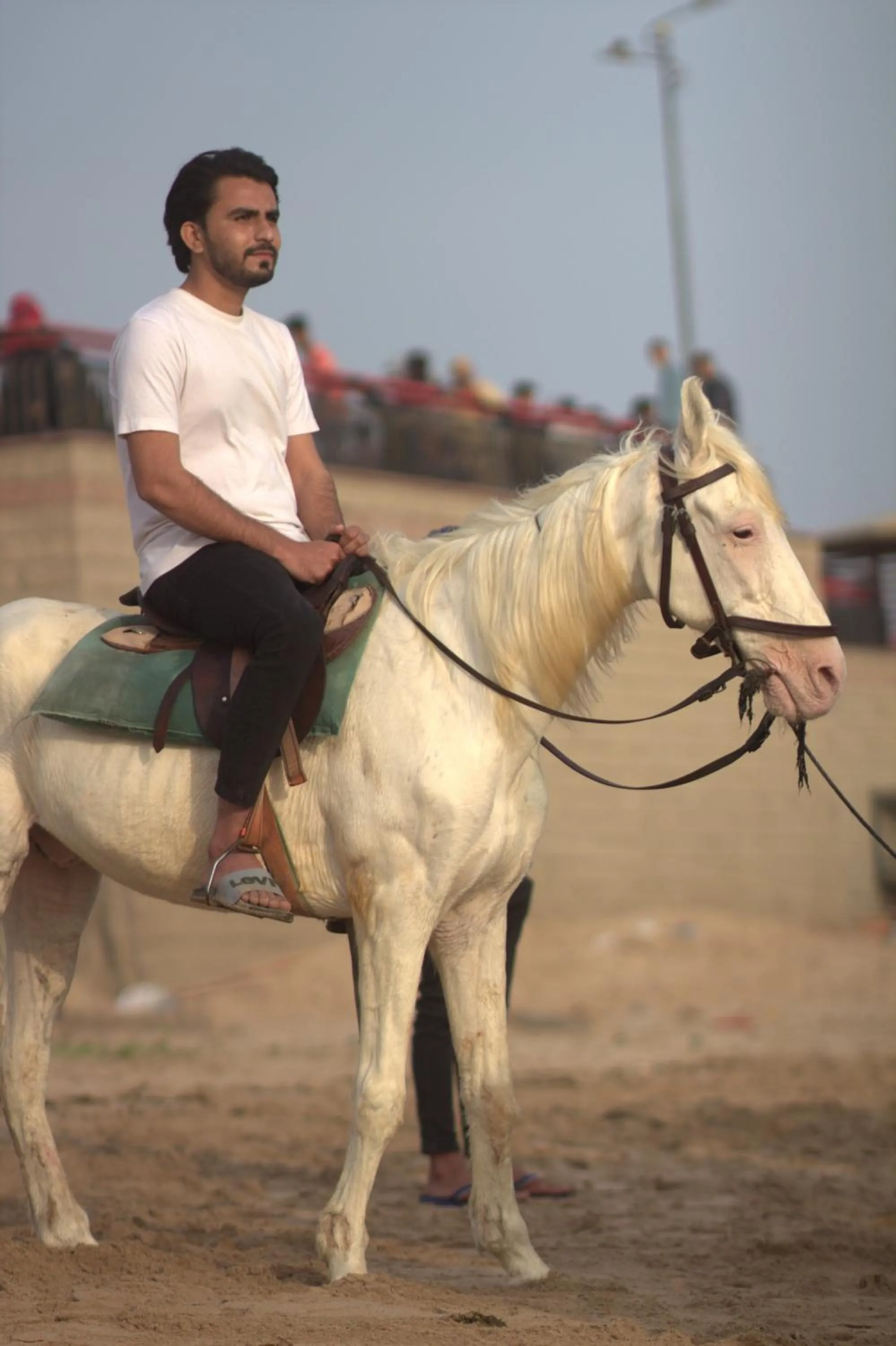 Horse-riding in Destination Beach Hotel by Dreamworld