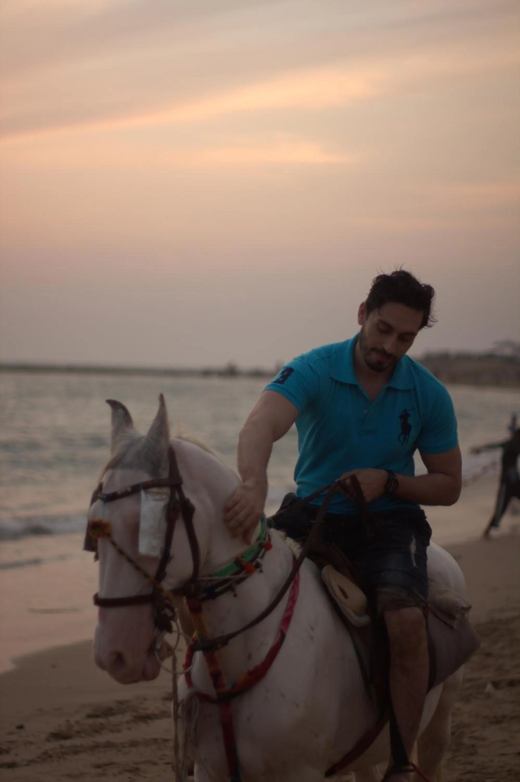 Horse-riding in Destination Beach Hotel by Dreamworld
