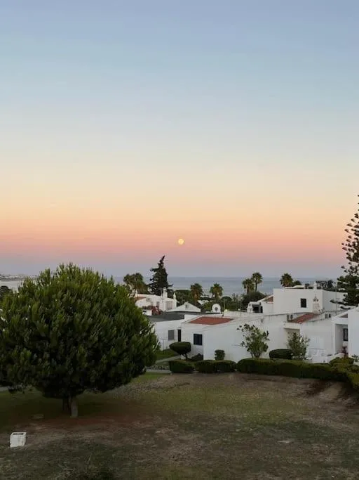 Garden in Casa Oliveira - Algarve