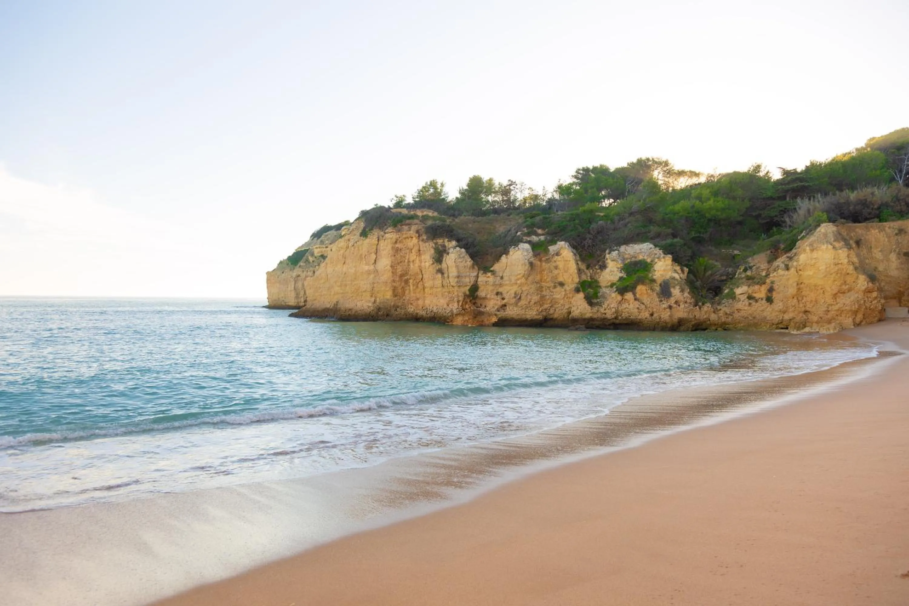 Casa Oliveira - Algarve