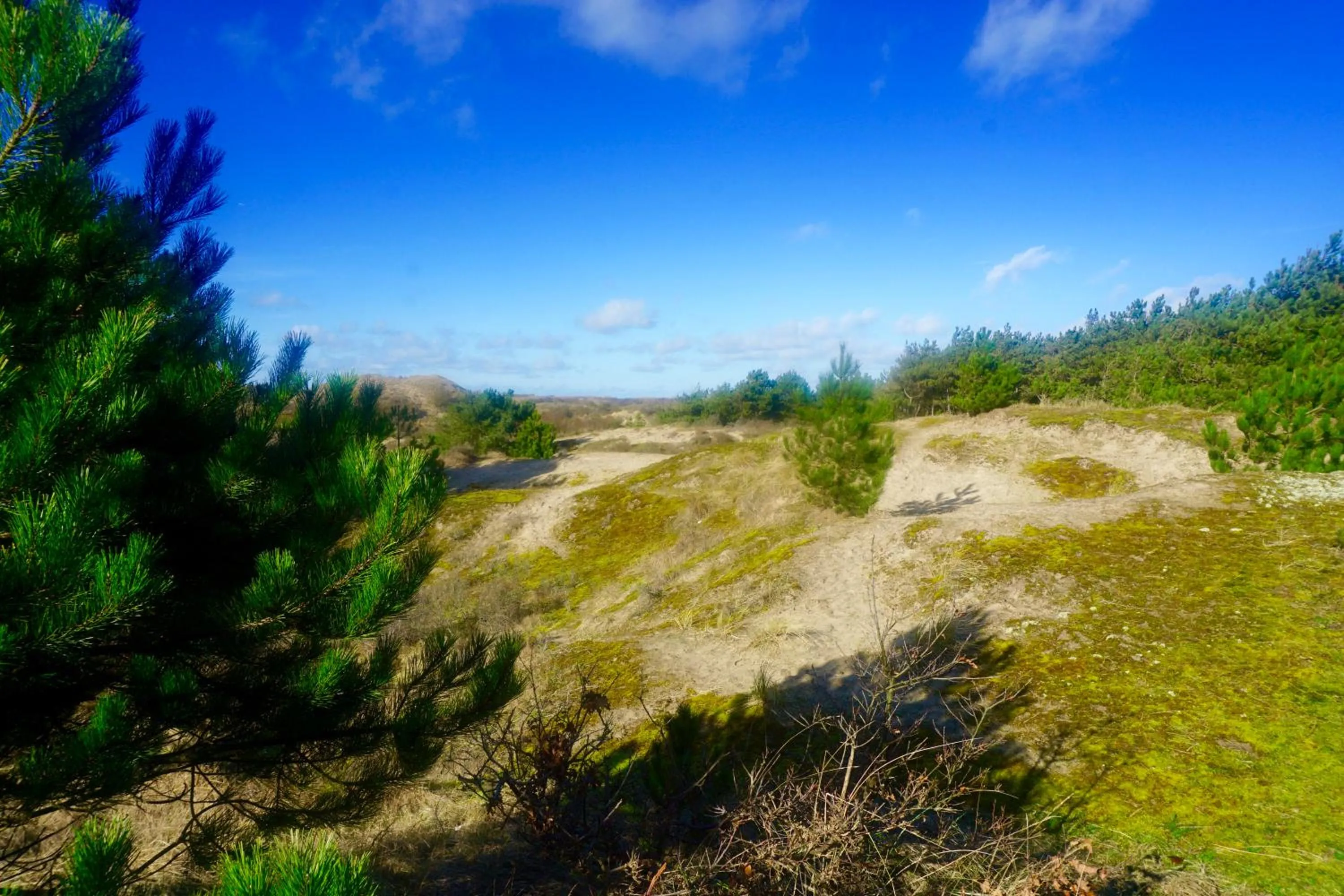 Natural landscape in Bed and Breakfast Kik en Bun