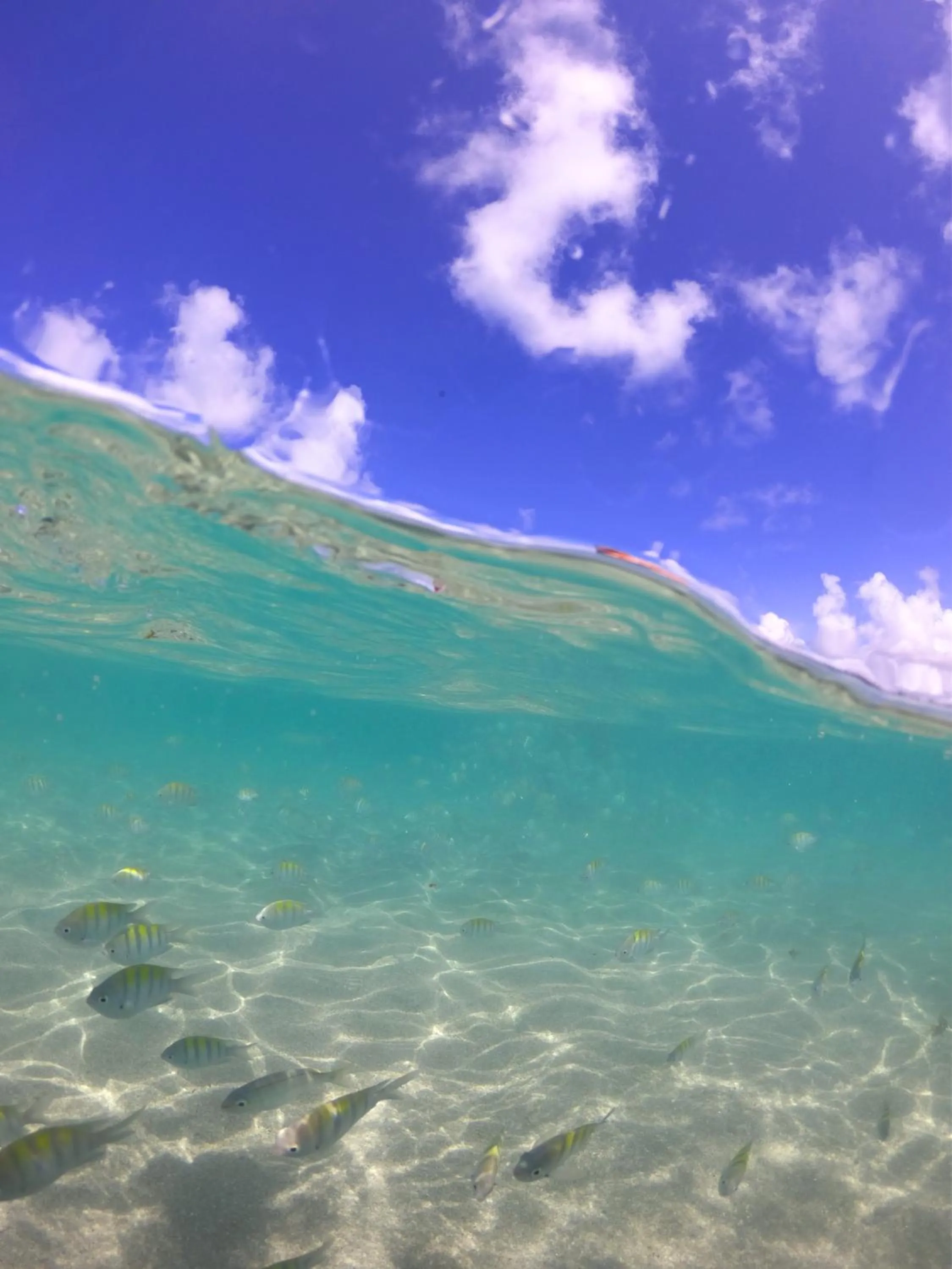 Beach in Maceio Mar Resort All Inclusive