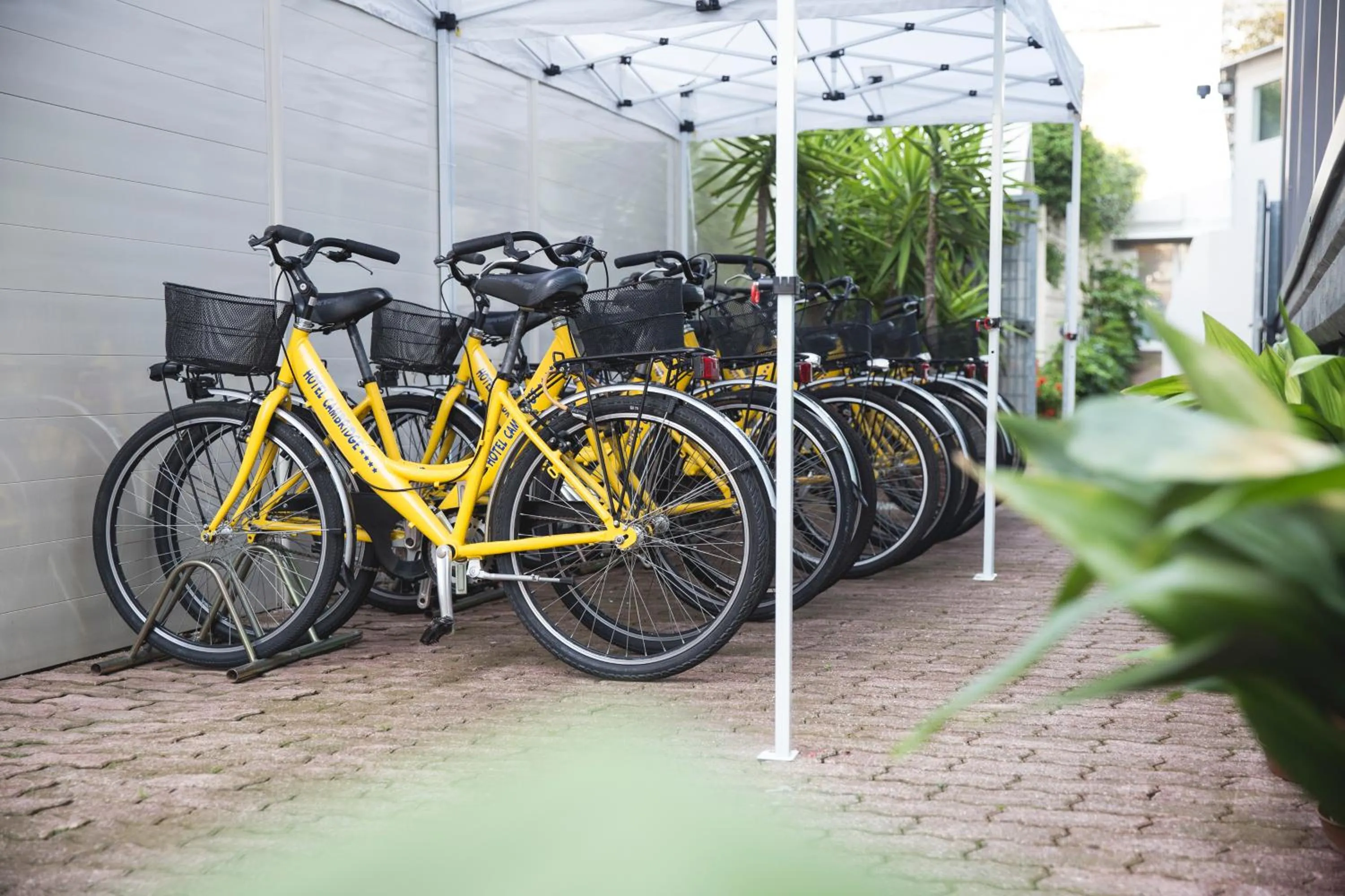 Activities in Hotel Cambridge