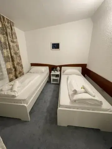 Standard Twin Room in Hotel Starlight Standard Twin Room in Hotel Starlight
