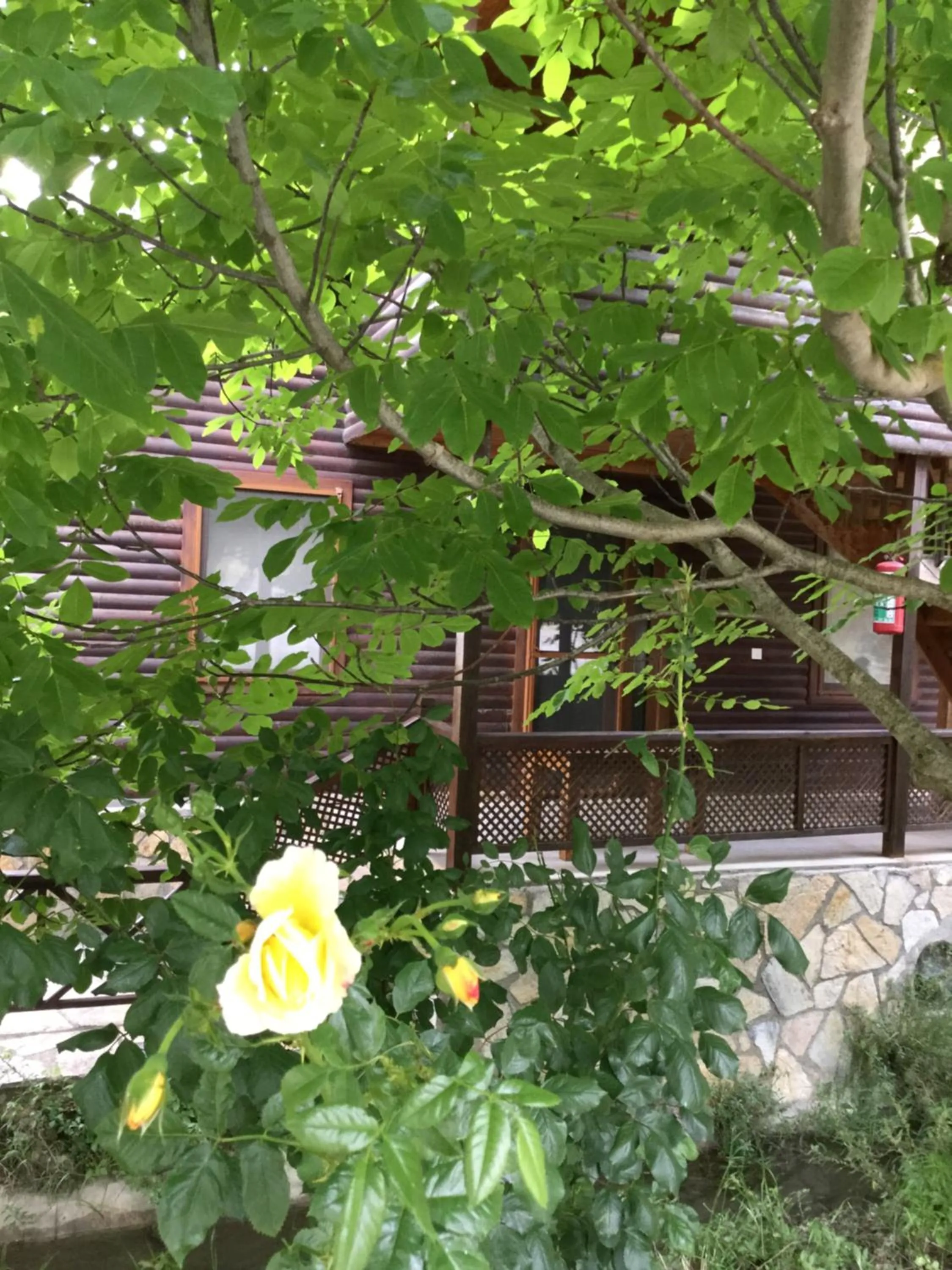 Facade/entrance in Uyku Vadisi Hotel