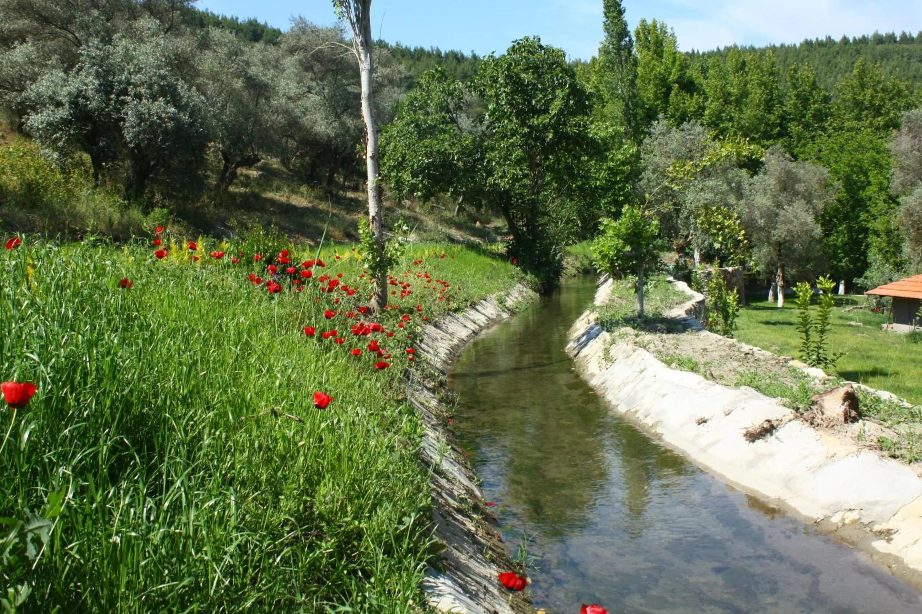 Natural landscape in Uyku Vadisi Hotel