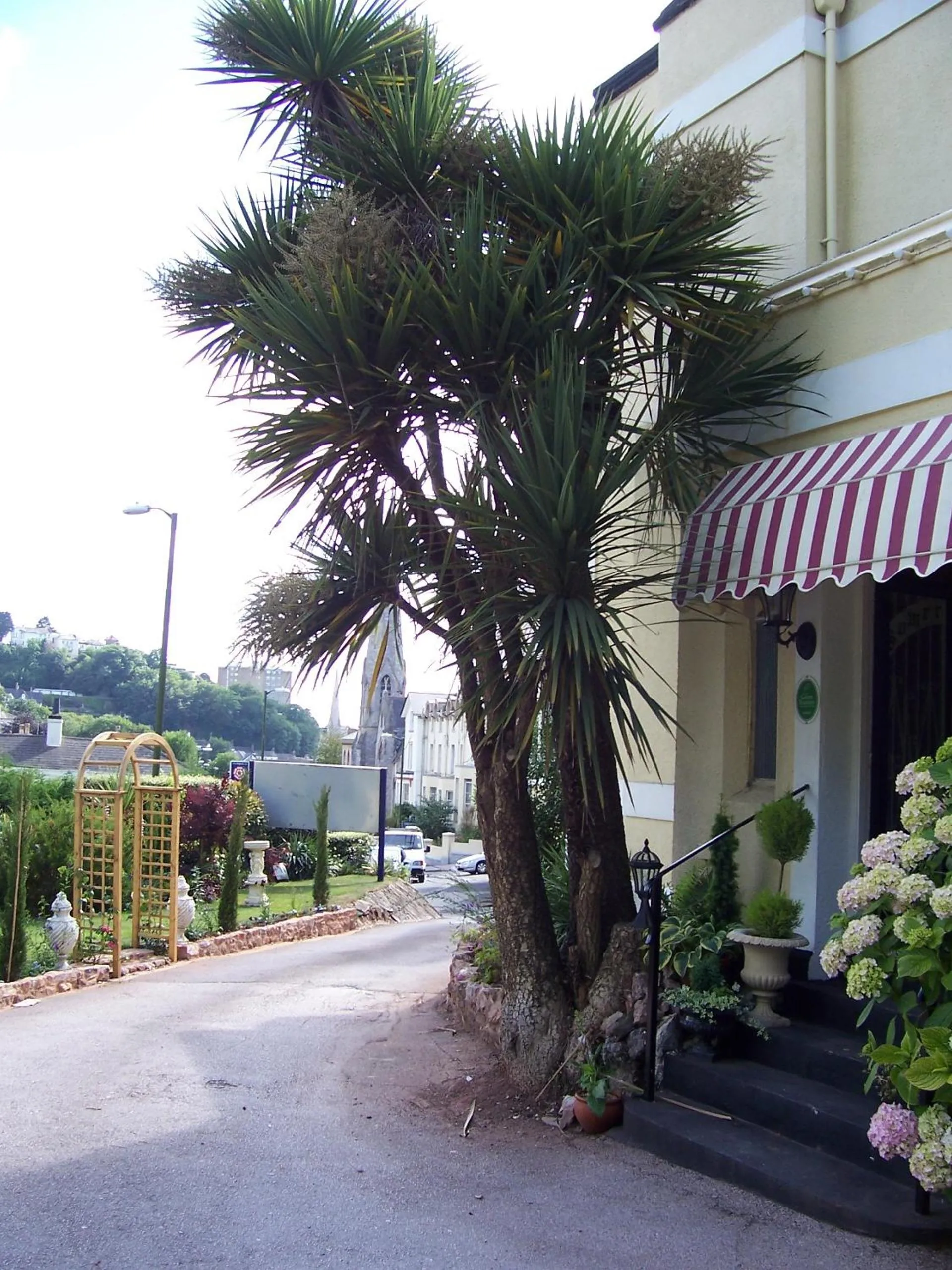 Facade/entrance in The Somerville