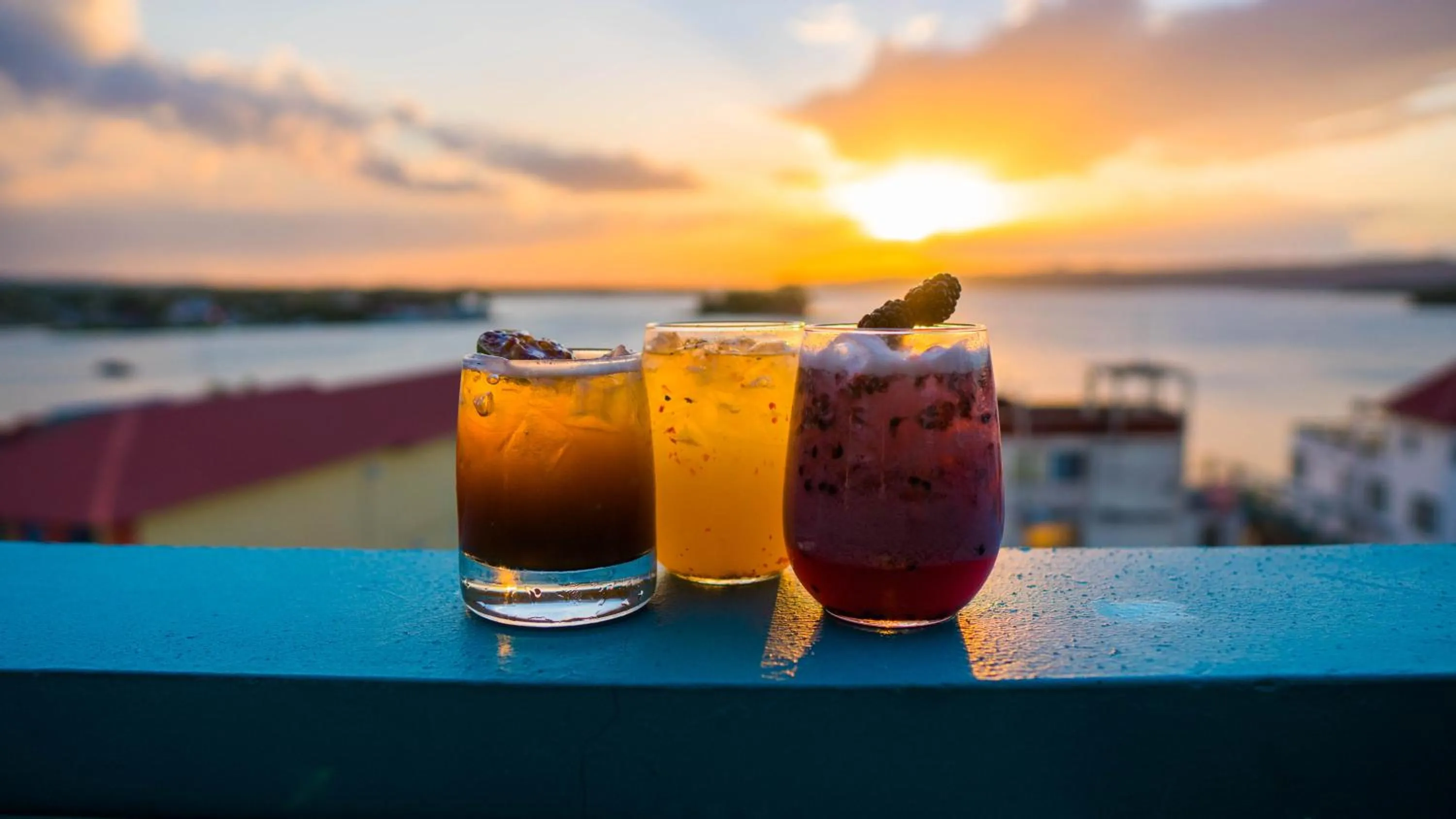 Balcony/Terrace in Hotel Isla de Flores