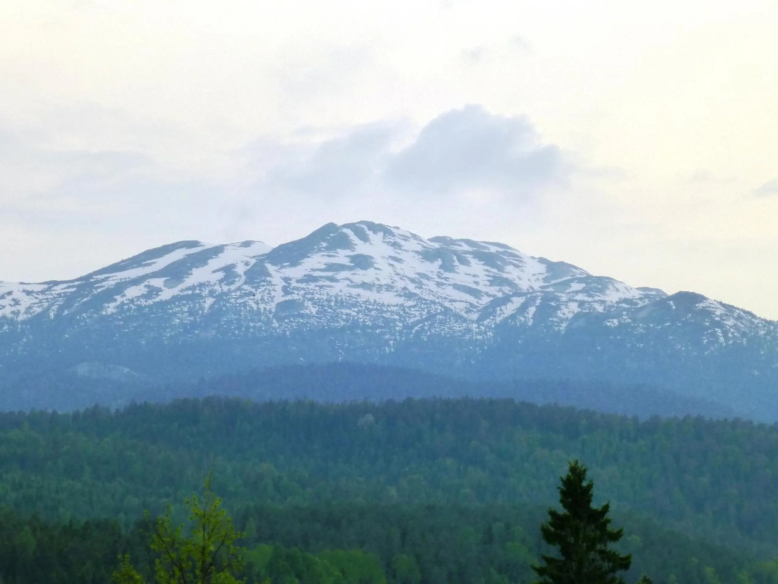 Natural landscape in Løvheim Gjestehus