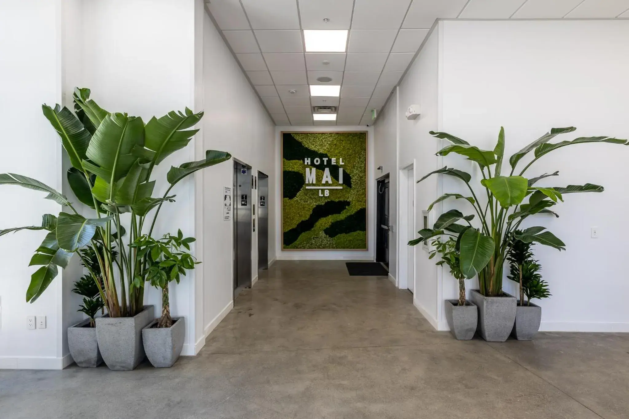 Hotel Mai Downtown Long Beach Hotel Mai Downtown Long Beach