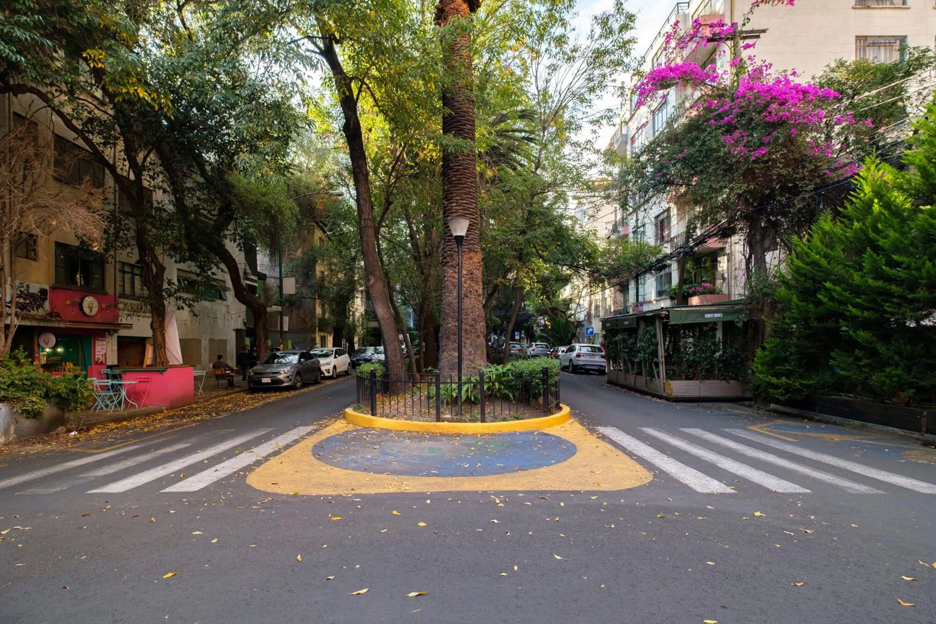 Neighbourhood in Nido Condesa