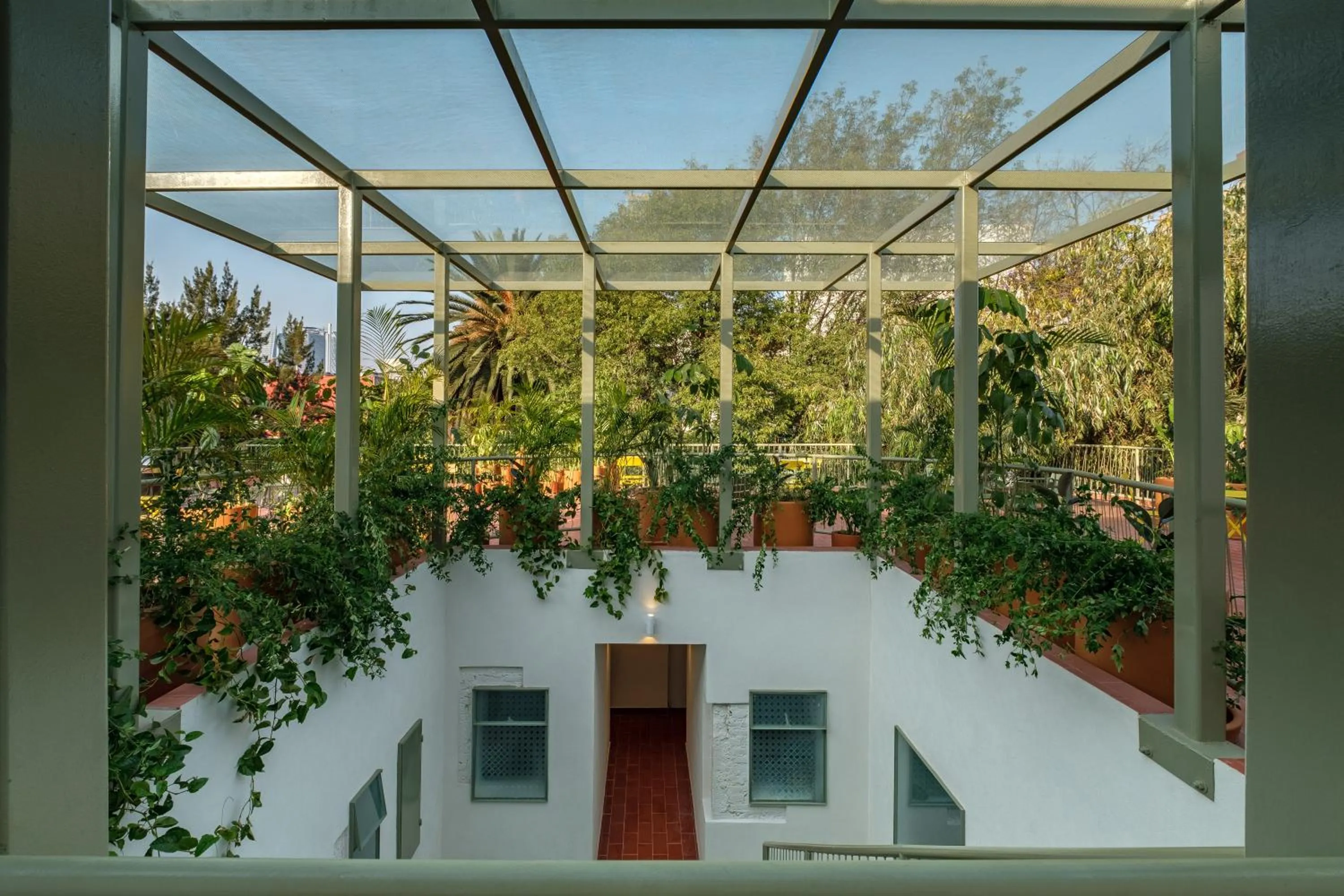 Garden in Nido Condesa