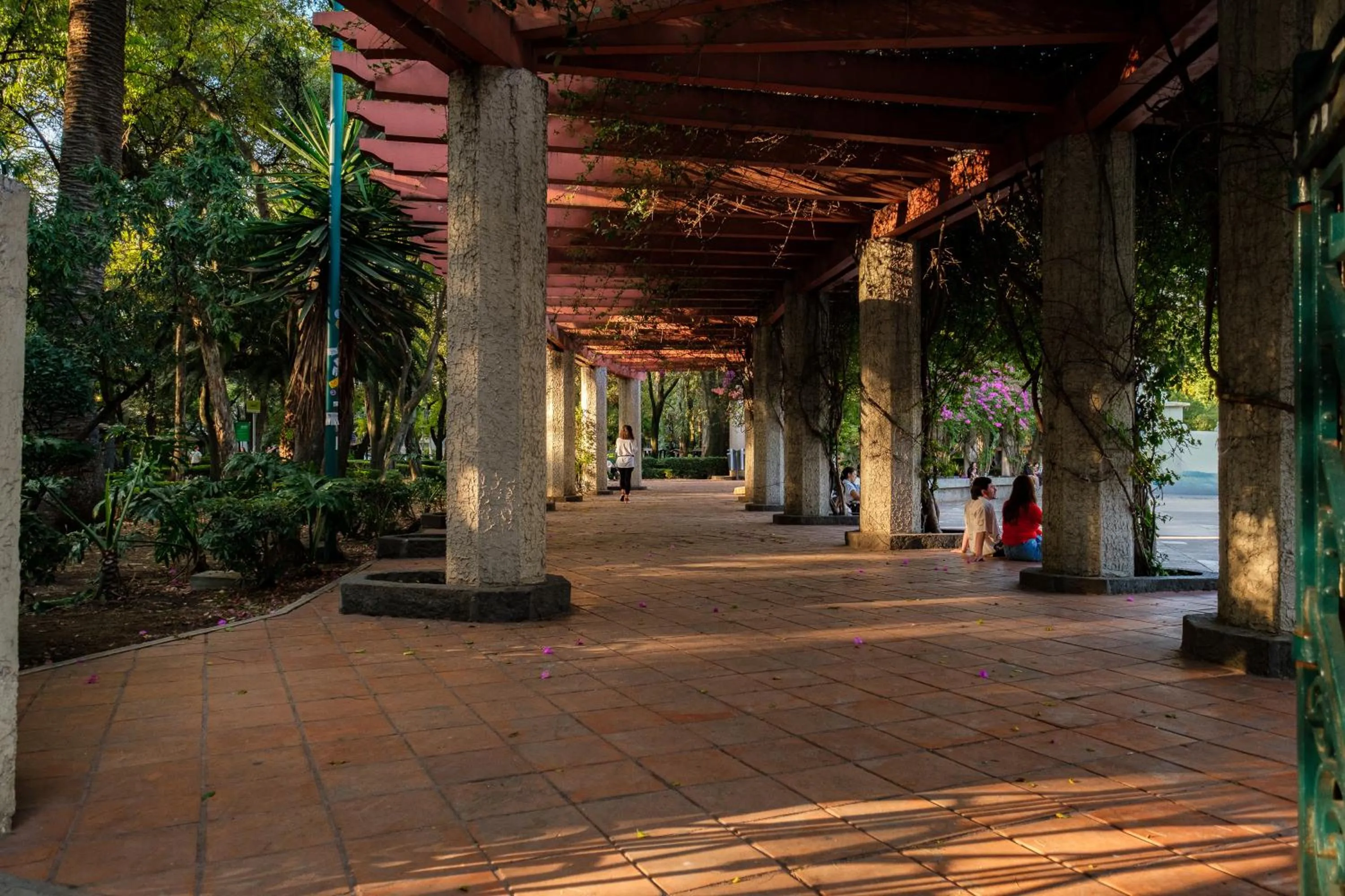 Neighbourhood in Nido Condesa