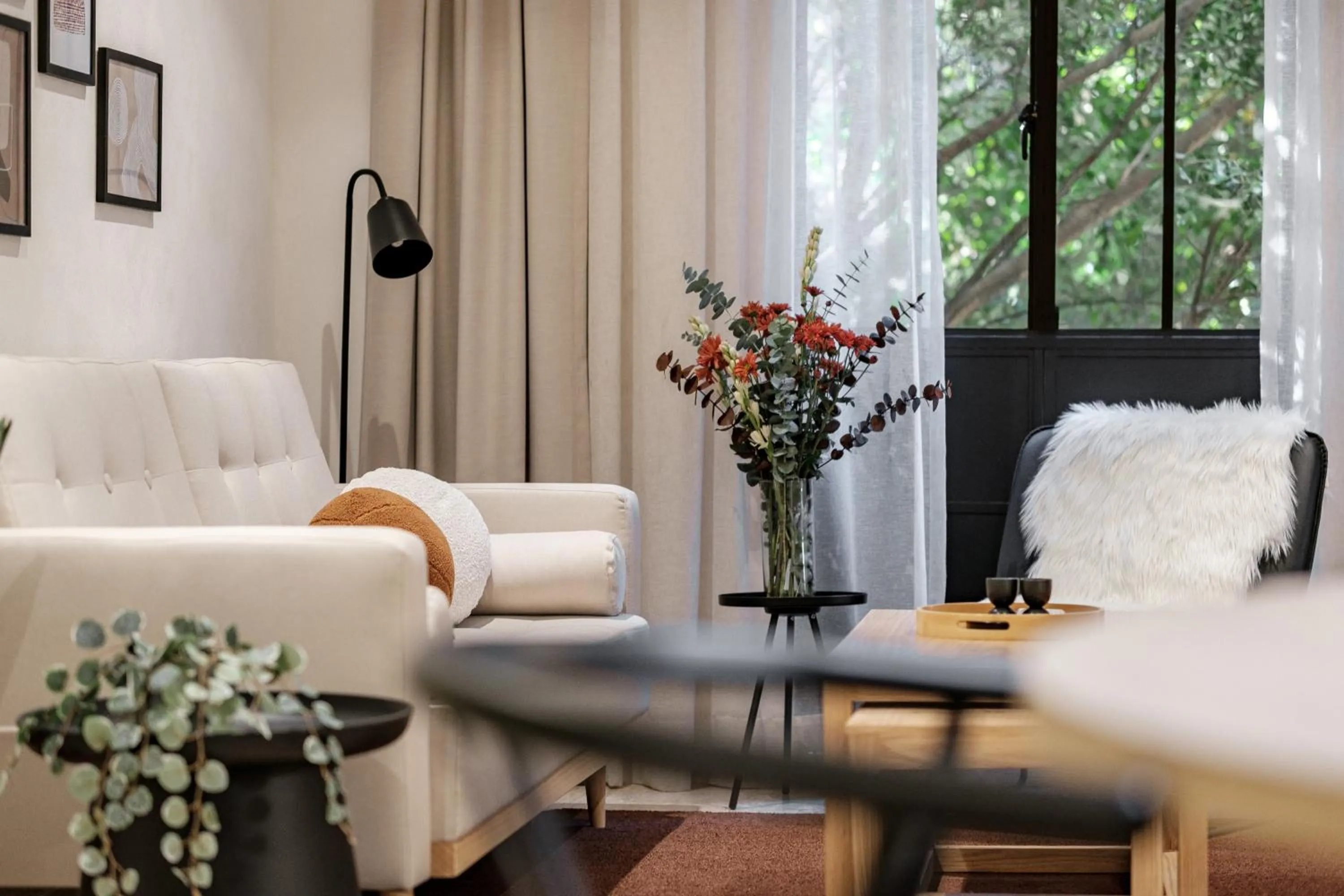 Living room in Nido Condesa