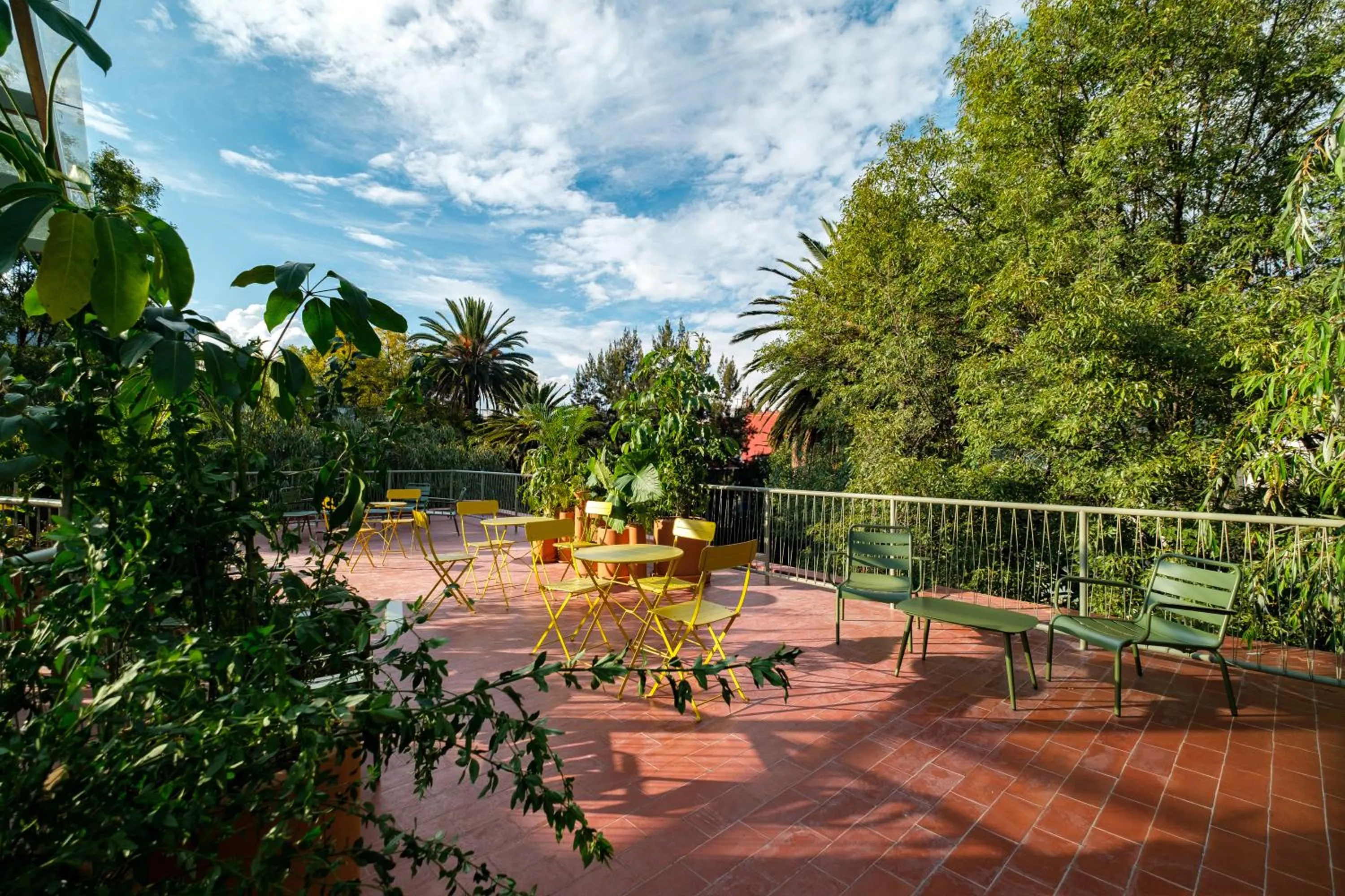 Garden in Nido Condesa