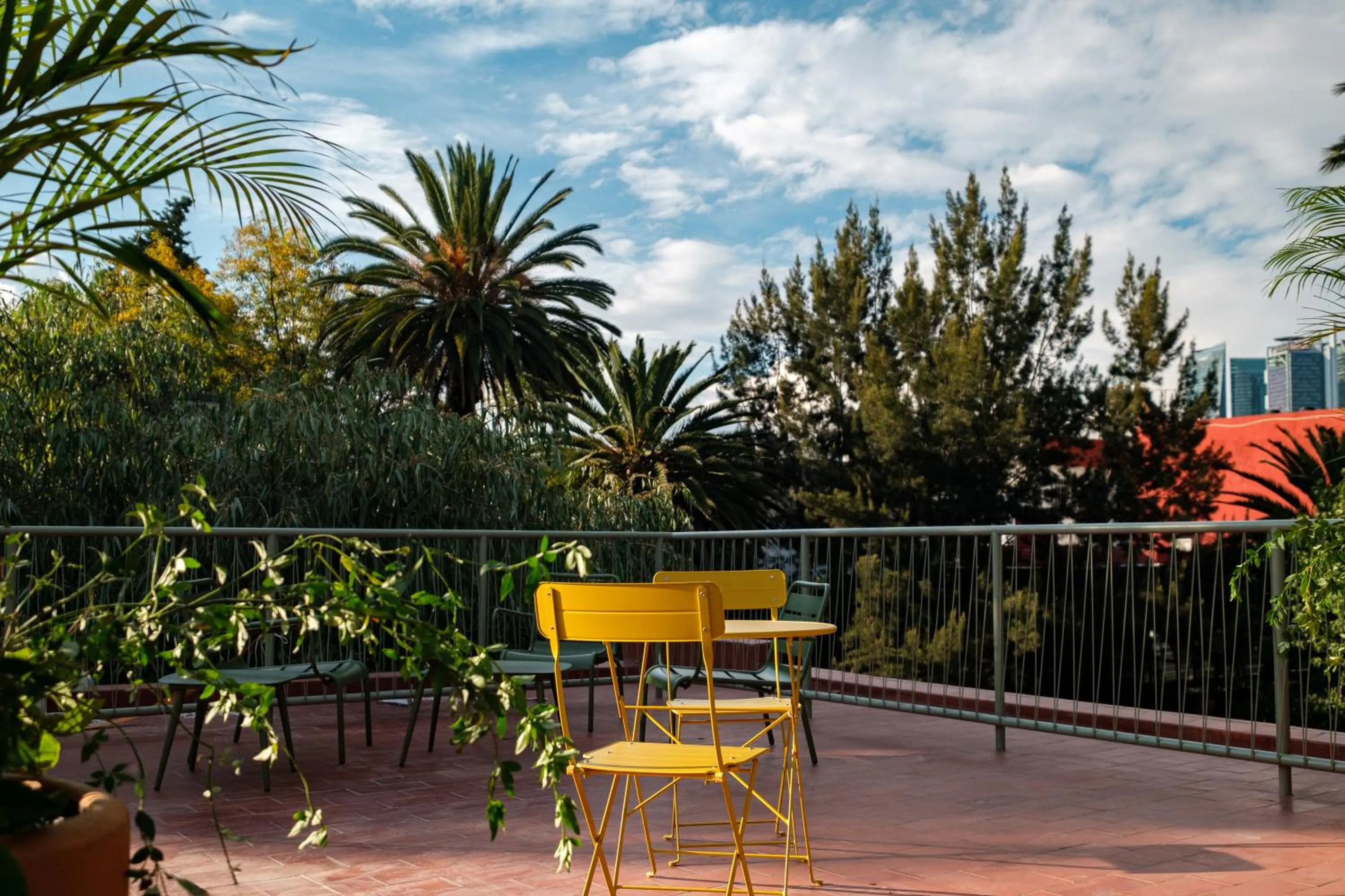 Garden in Nido Condesa