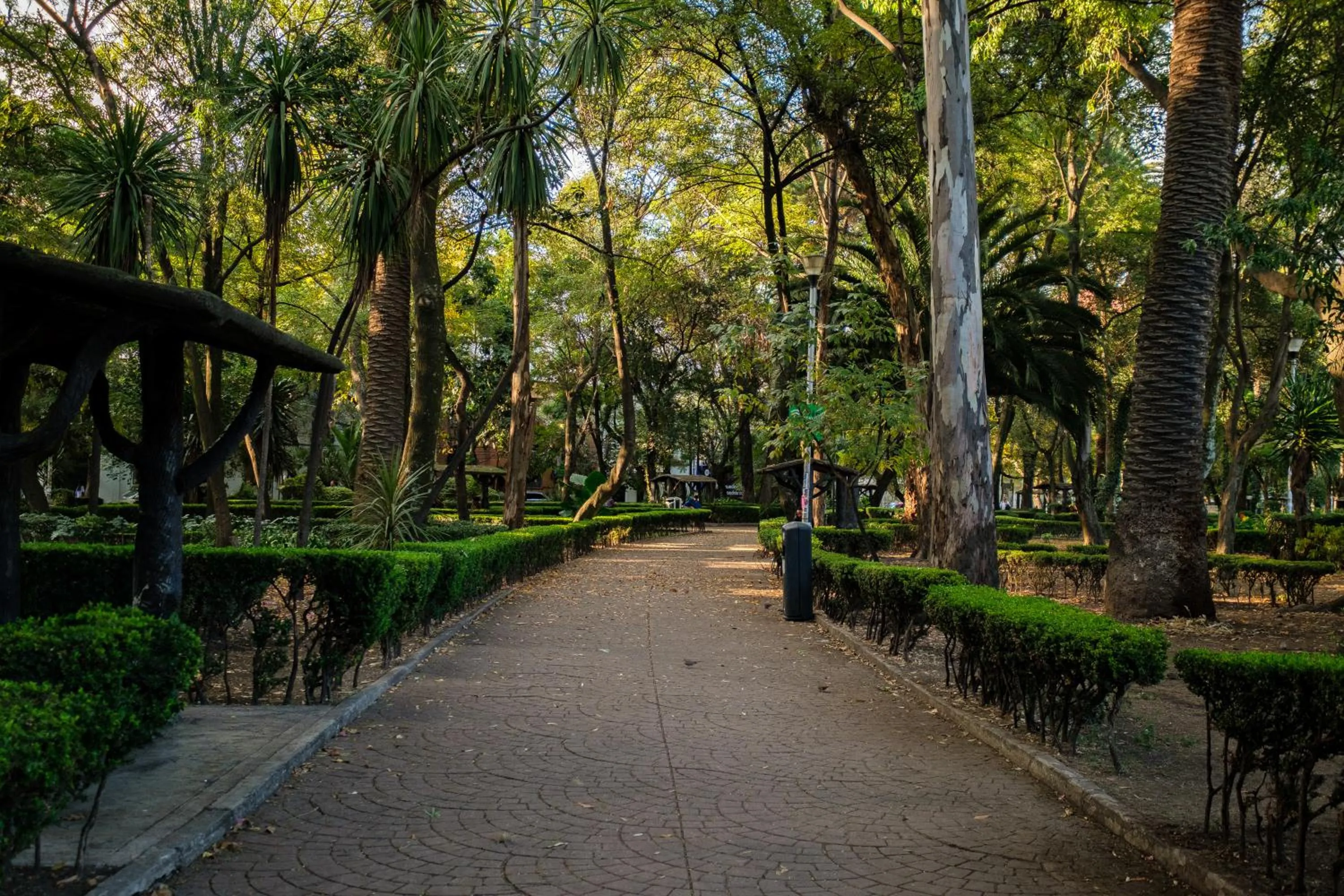 Neighbourhood in Nido Condesa