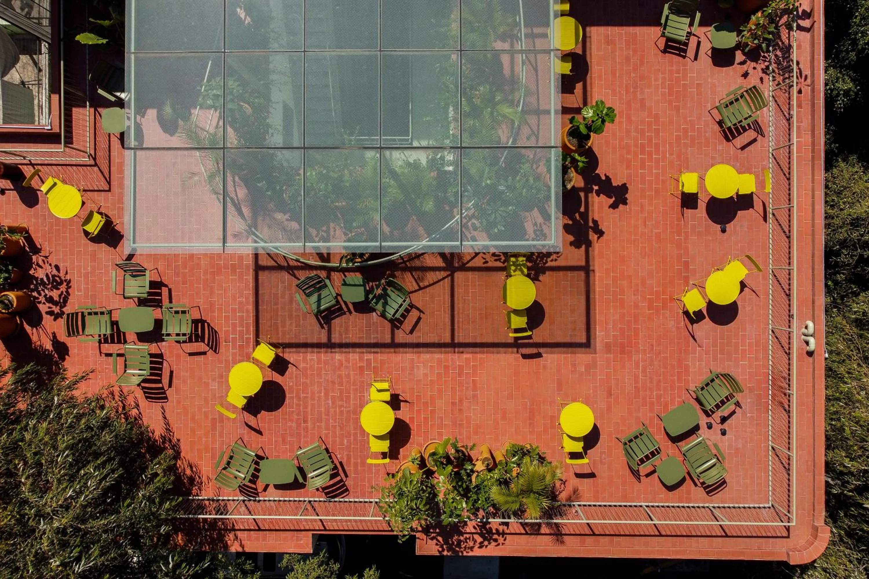 Garden in Nido Condesa