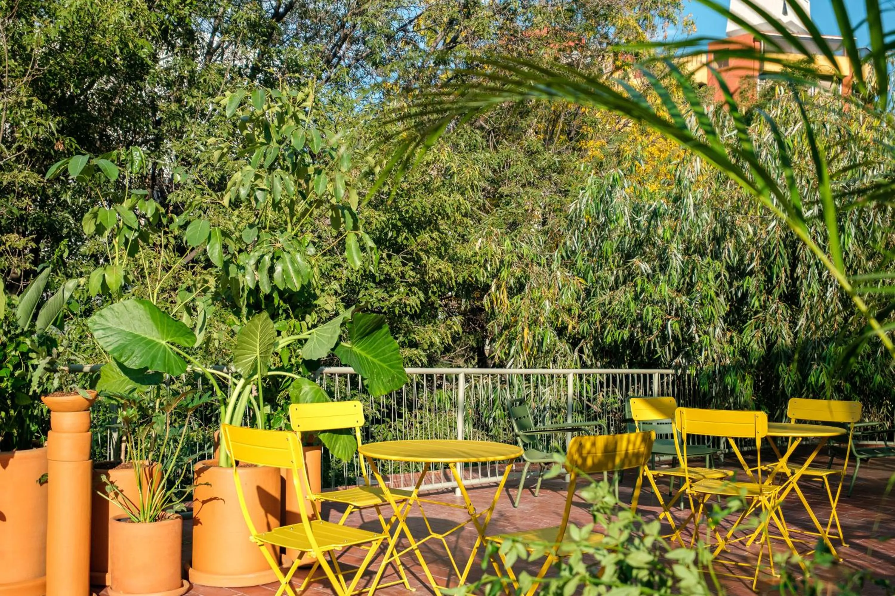 Garden in Nido Condesa