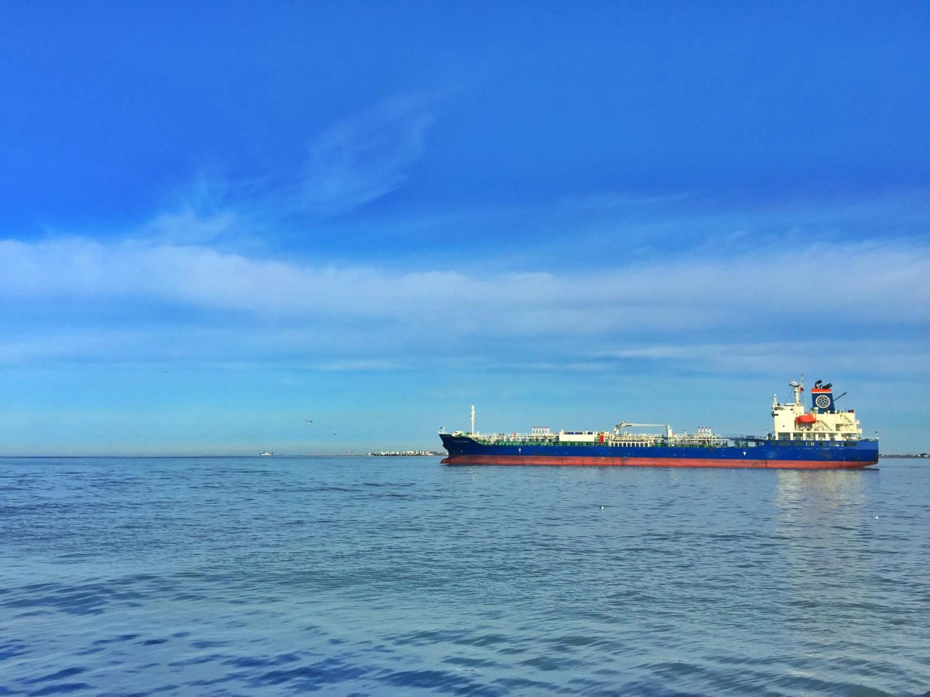 Other in Four Seasons on the Gulf